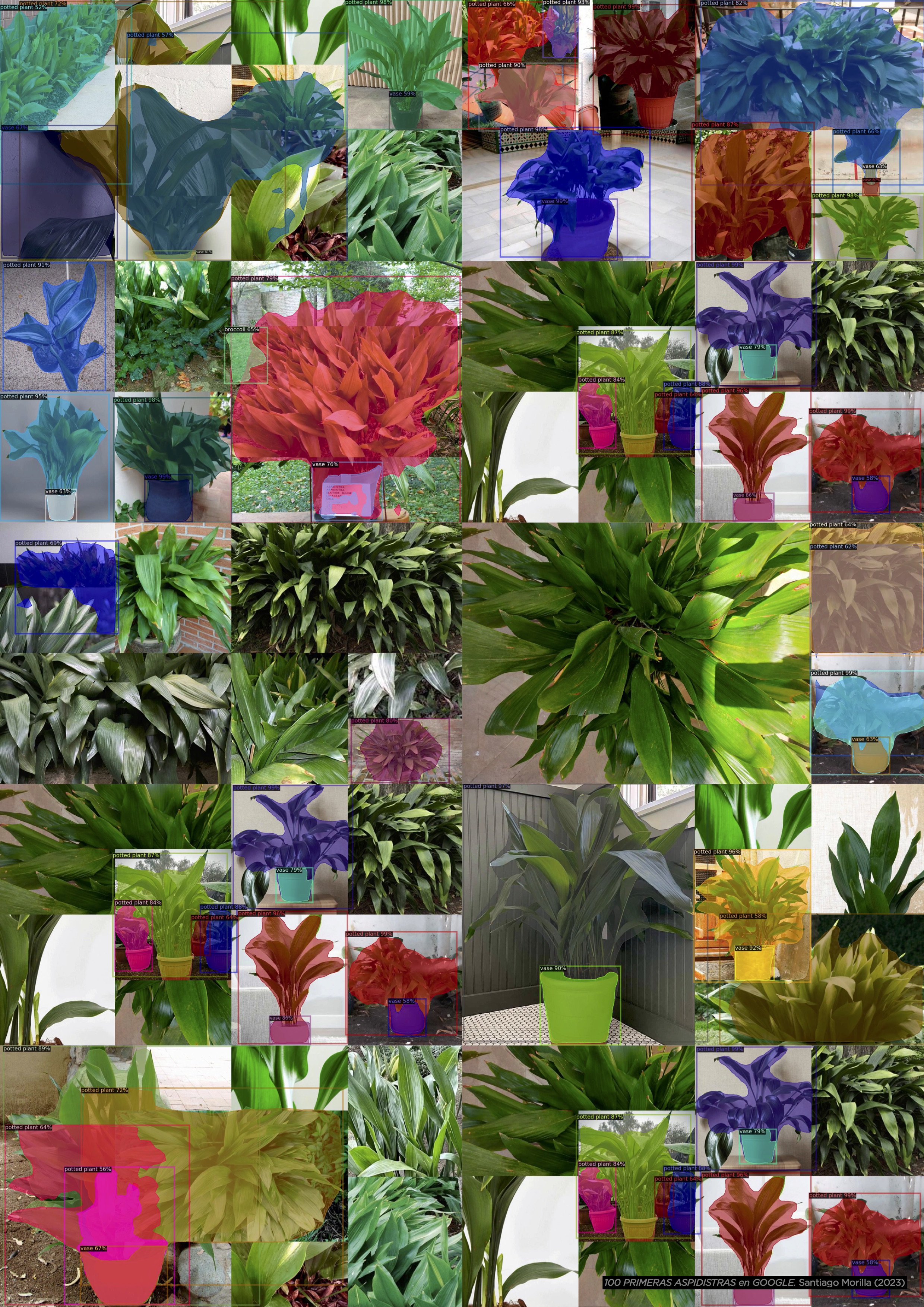 ︎ "100 primeras ASPIDISTRAS en Google", Poster (2023)