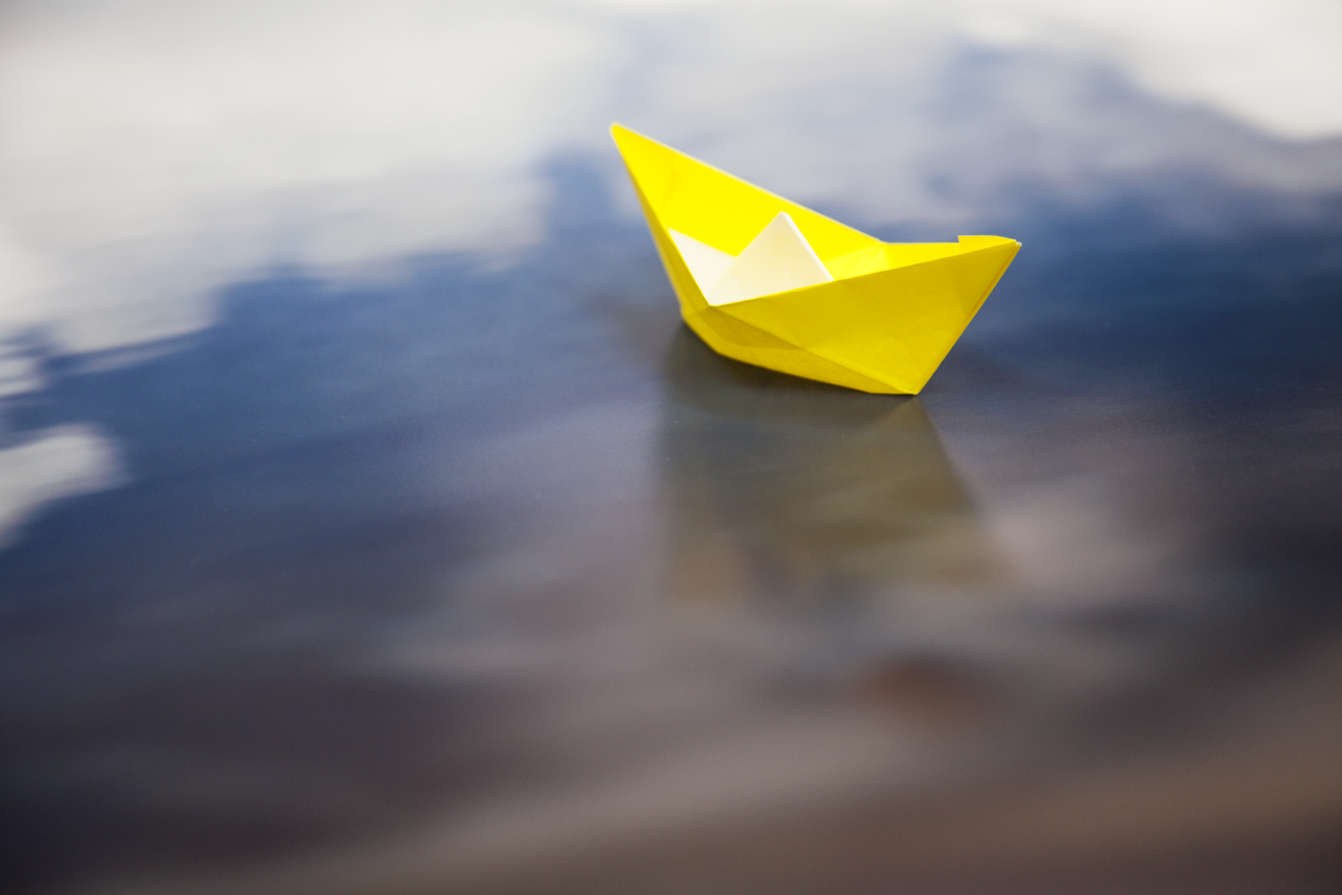 float, photograph 2009