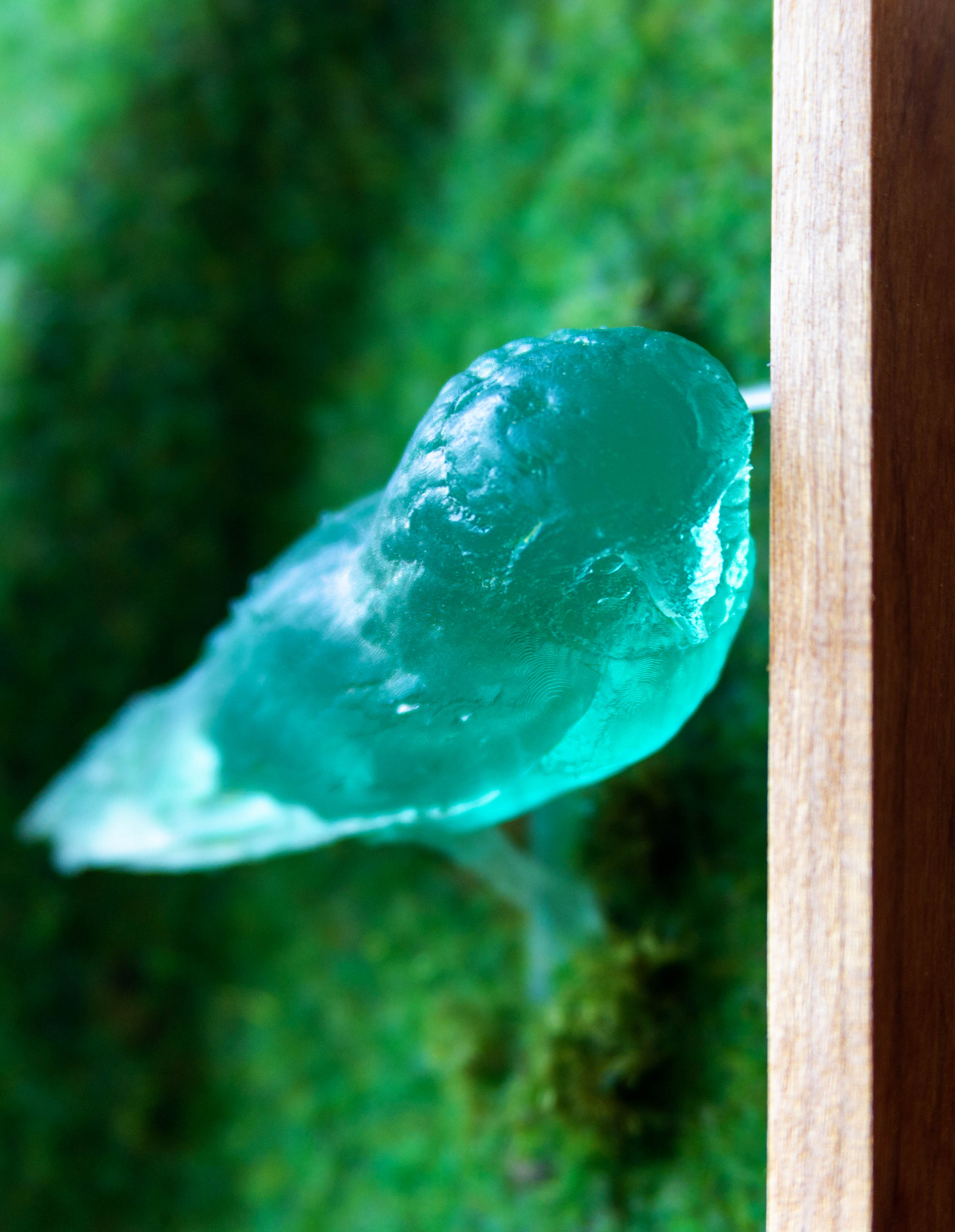 A Quite Positive Task Reserved for Ornithologists, detail