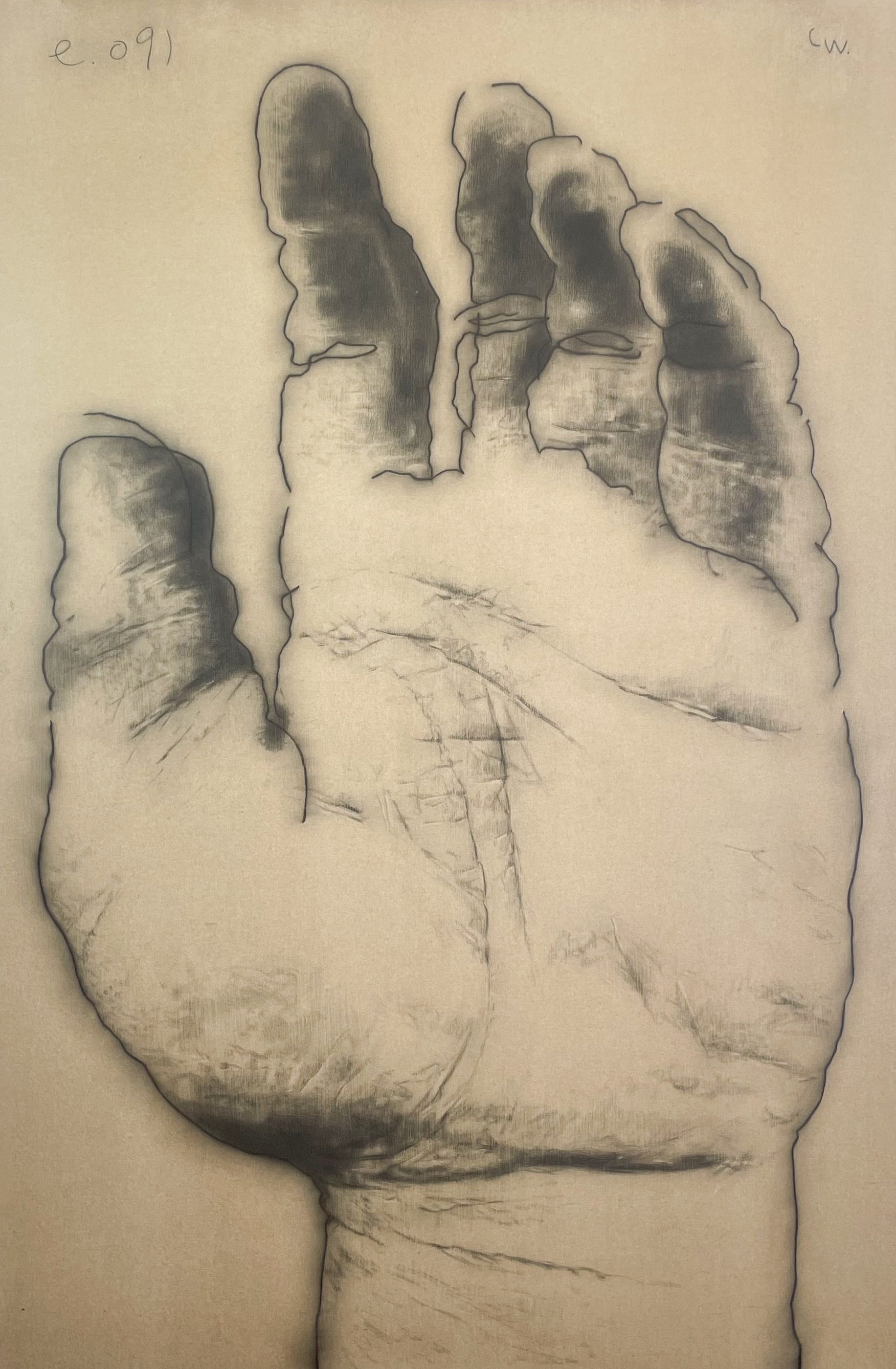 EGO 091, 2024. 195x130cm