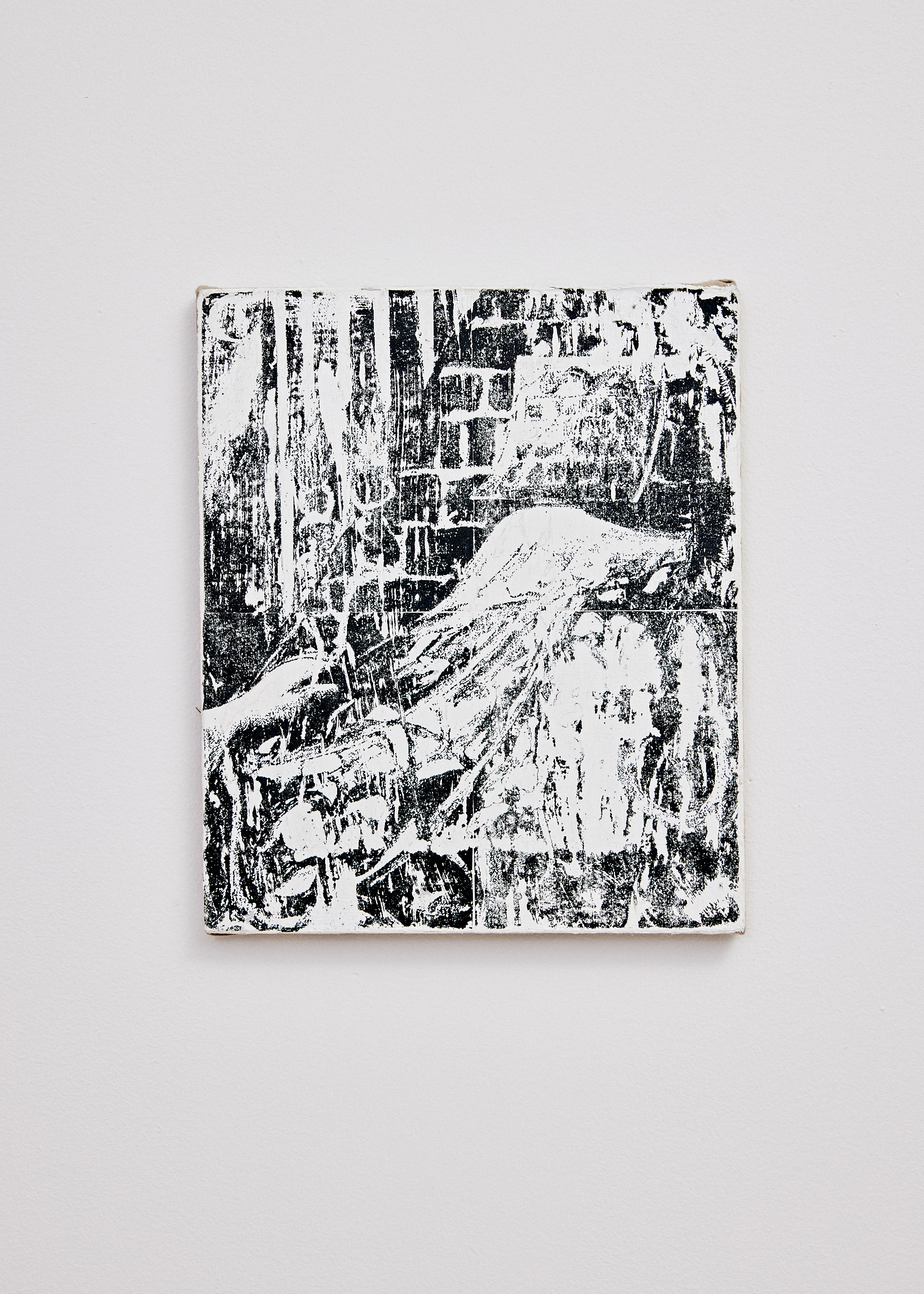 Untitled, 2019 Toner, paper, and acrylic resin on primed linen, 16"x12"