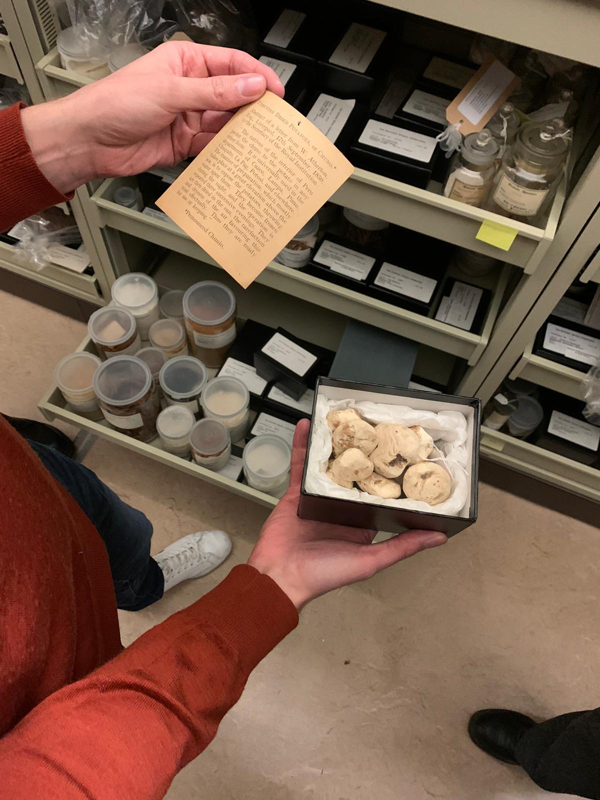 Visit to the Economic Botany Collection at Kew Gardens.