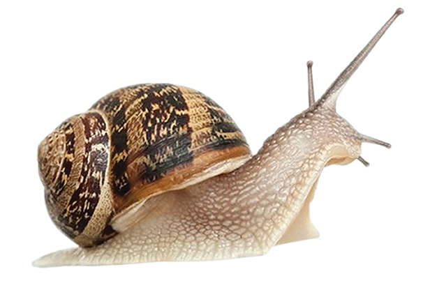 Punctuation marks with different types of connection