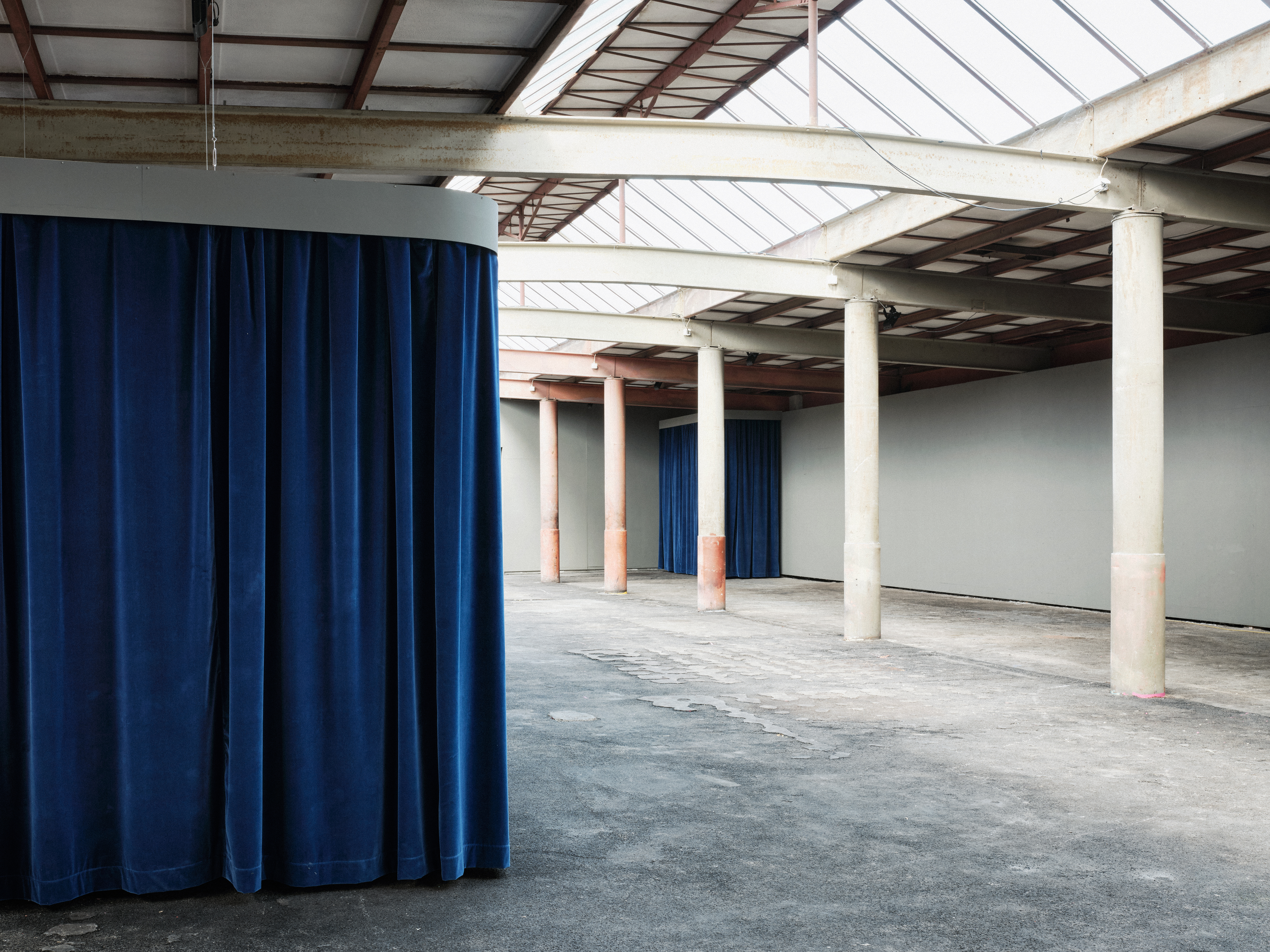 curiosity killed the cat, Valentina Pini, 2020