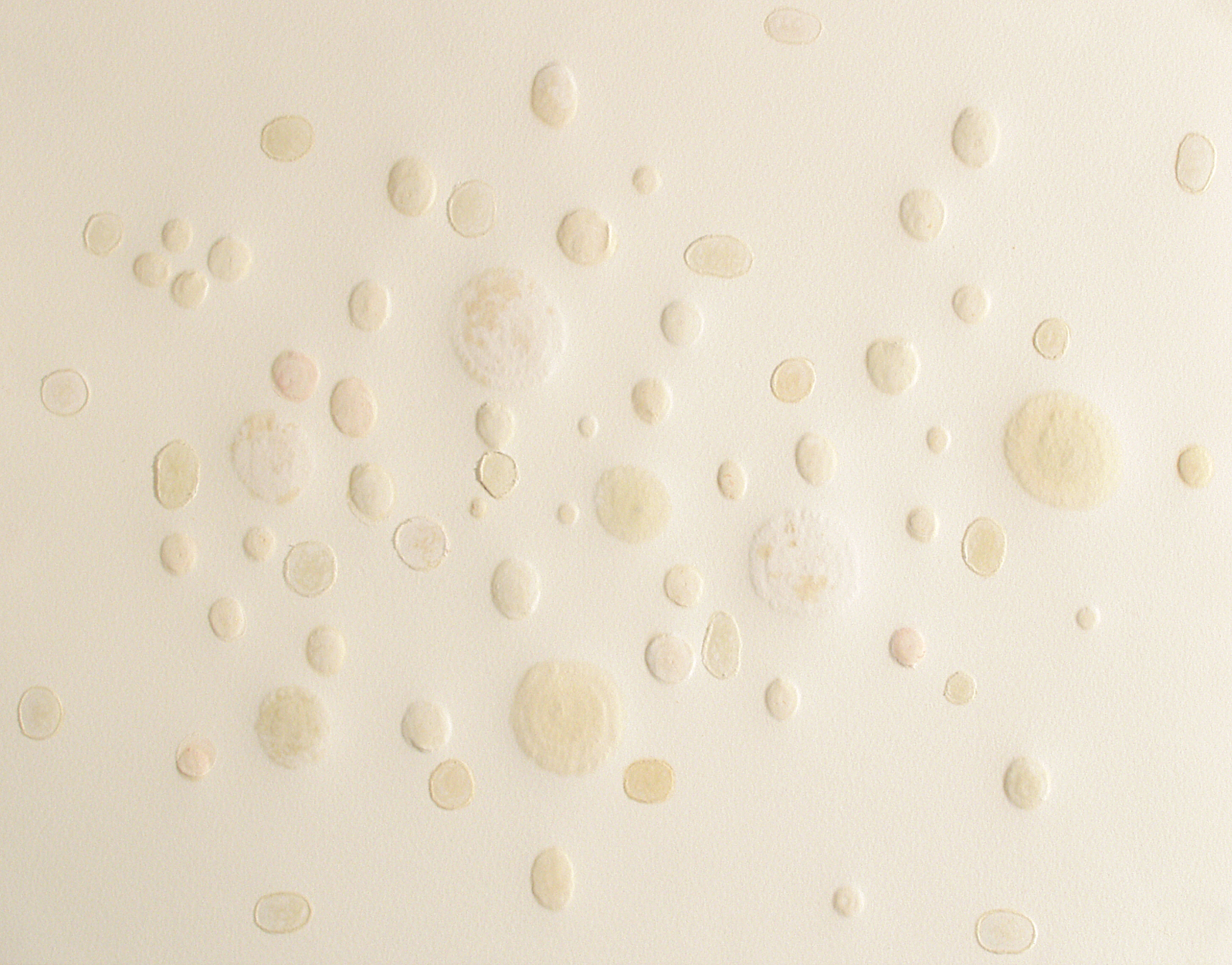  Untitled, 2004 . Cuts, marks, embossing and oil stains on paper . 32 x 41 cm