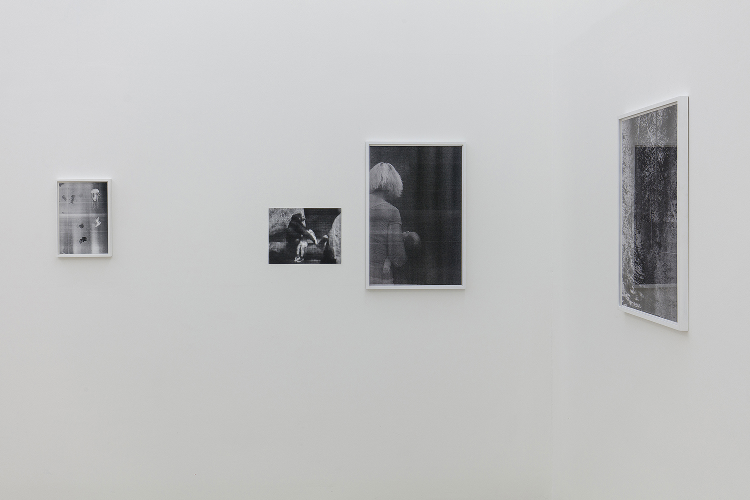 Glass Cage Dream, installation view, Eins Gallery
