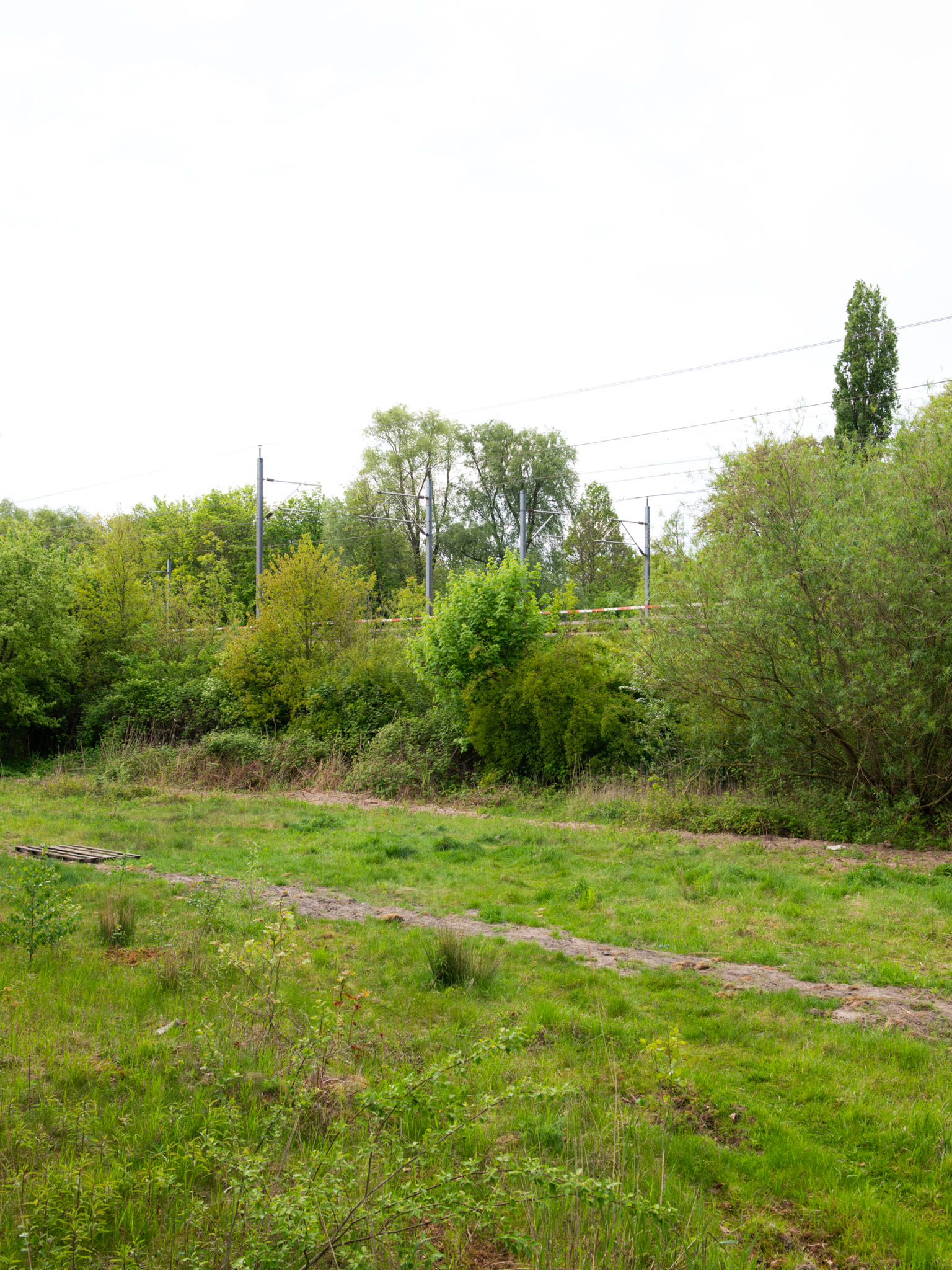 Werkspoorkwartier - future location of Het Hof van Cartesius (Charlotte Ernst and Flux Landscape Architecture)