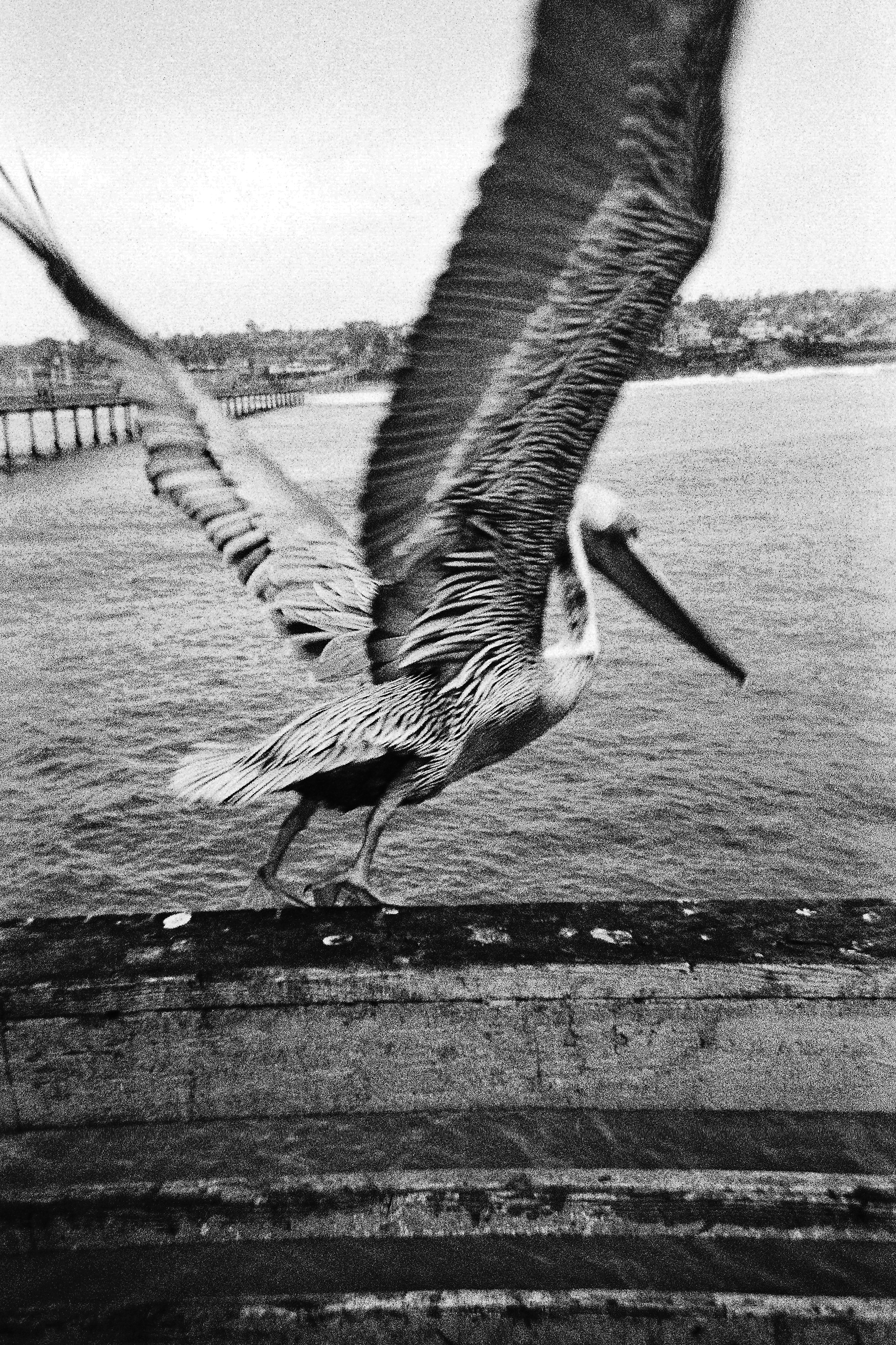 It Happens Like This Sometimes, 2016