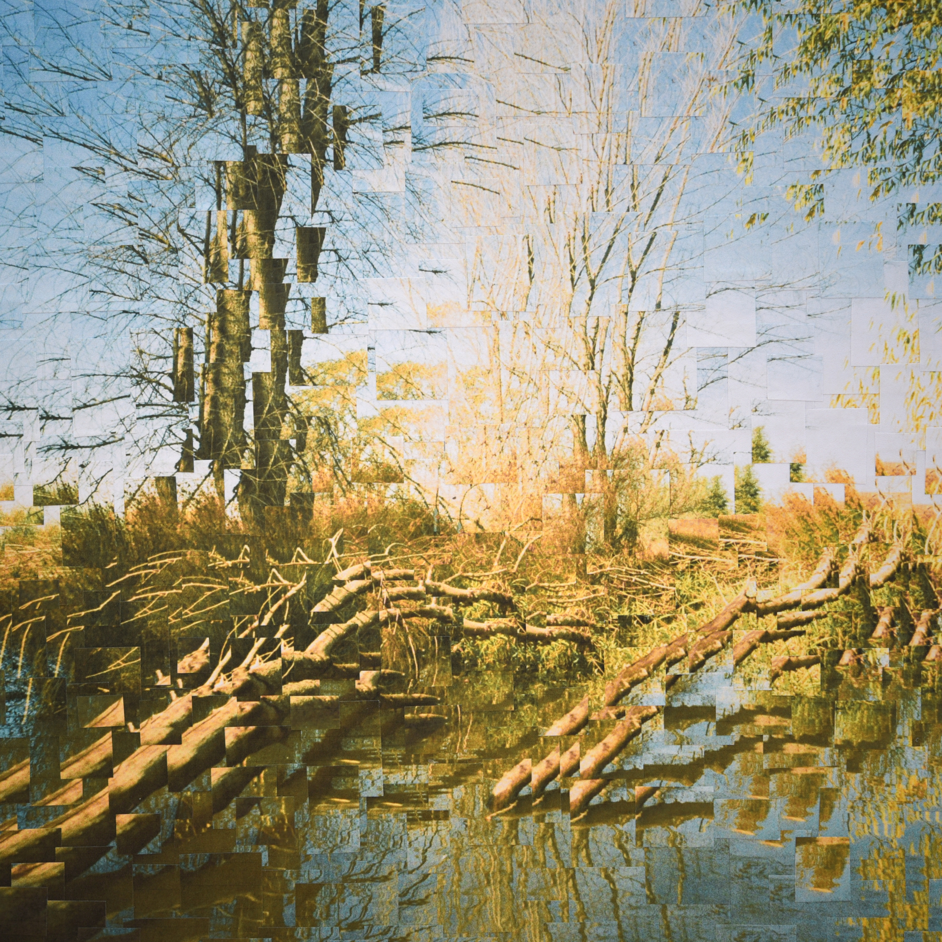 For The Virginia Quarterly Review with art director Jenn L Boggs, 2020, 11.5 x 11.5 inches