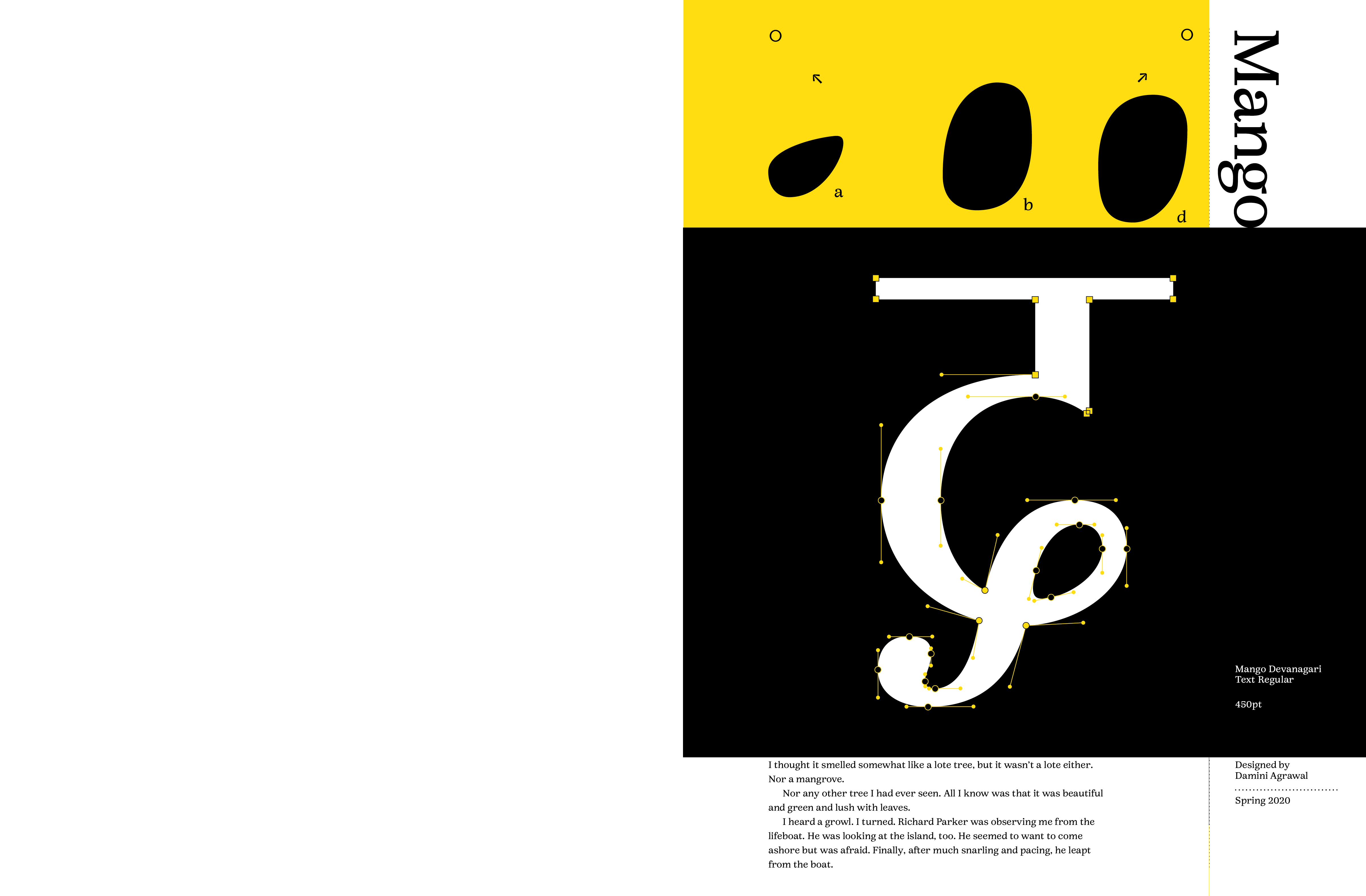 Type Specimen