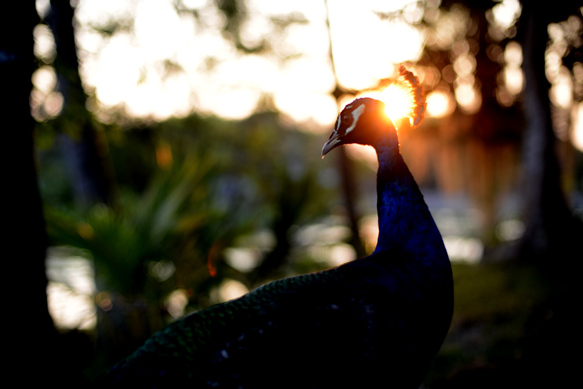 Campeche, Mexico 2014.