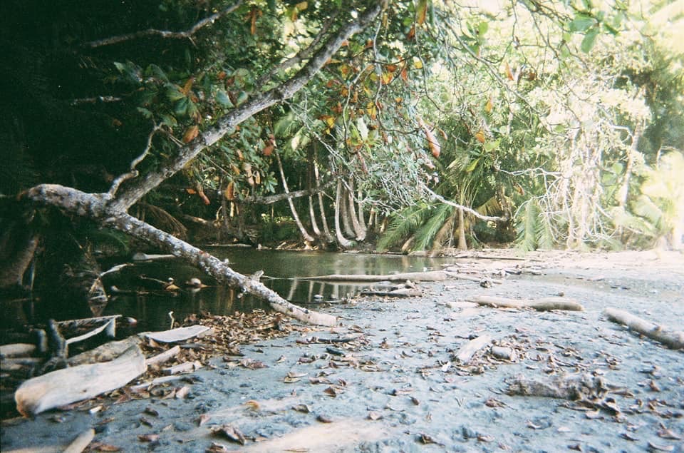 The Crocodile's Den, Montezuma