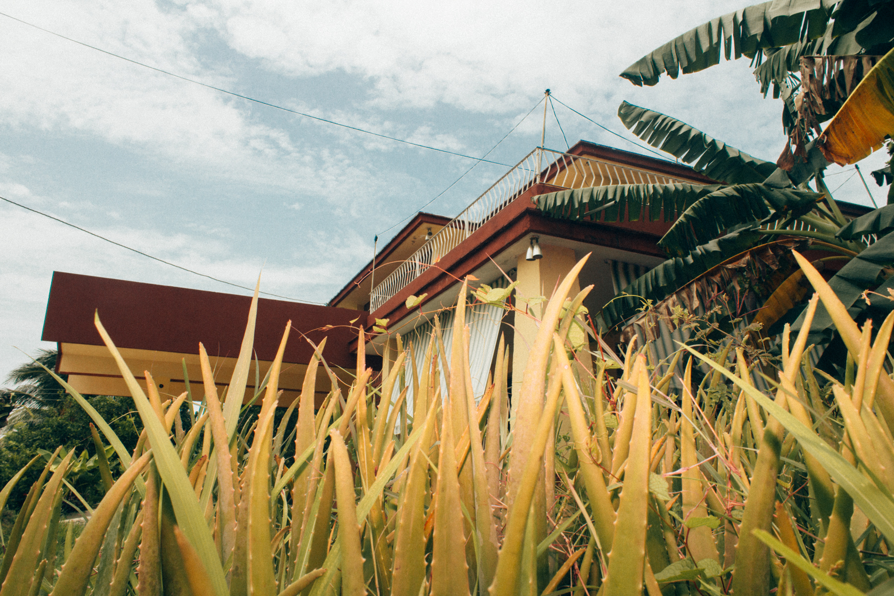 My grandparents left Cuba shortly after Fidel Castro took power. They only returned one time after thirty five years. 