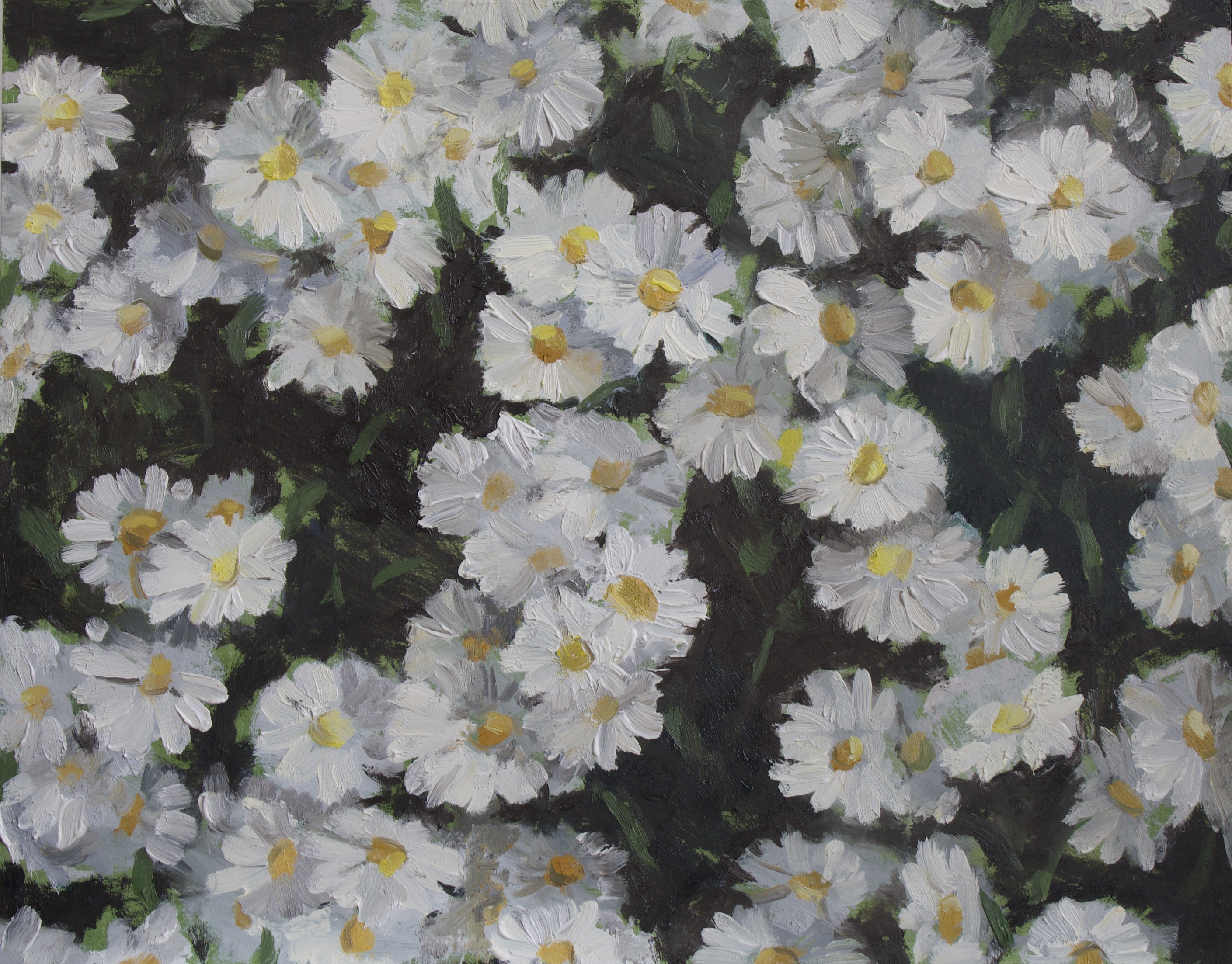 "Daisies", oil, 26x33cm, 2019