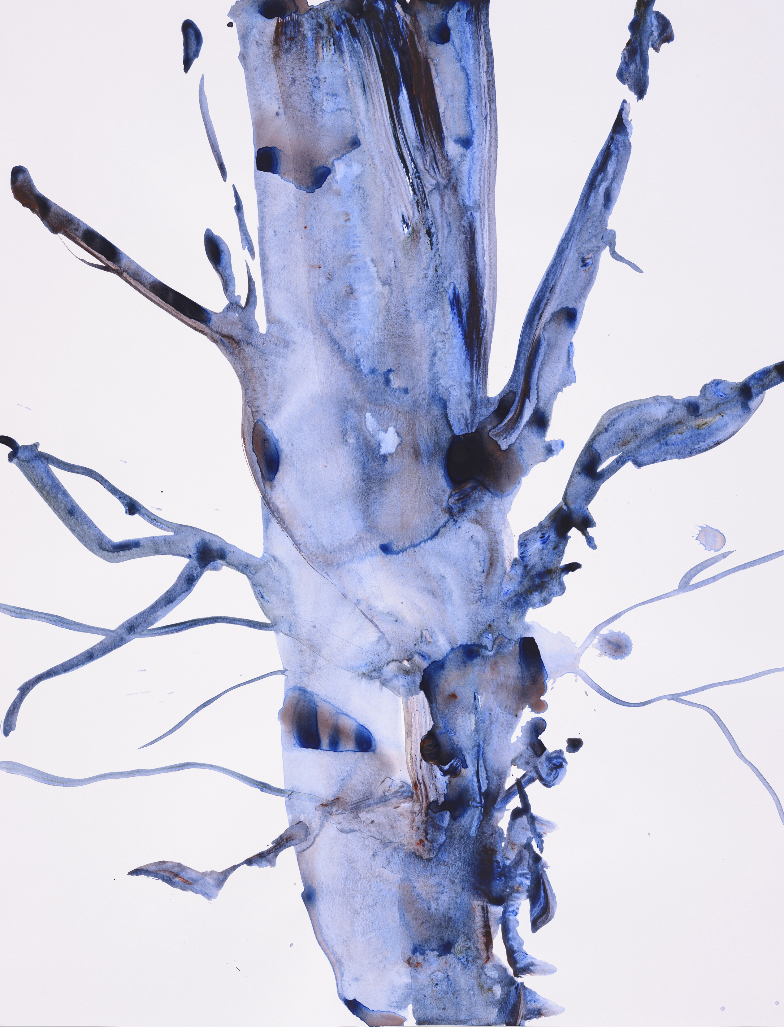 Study of nature 2009Acrylic on paper 65×50cm