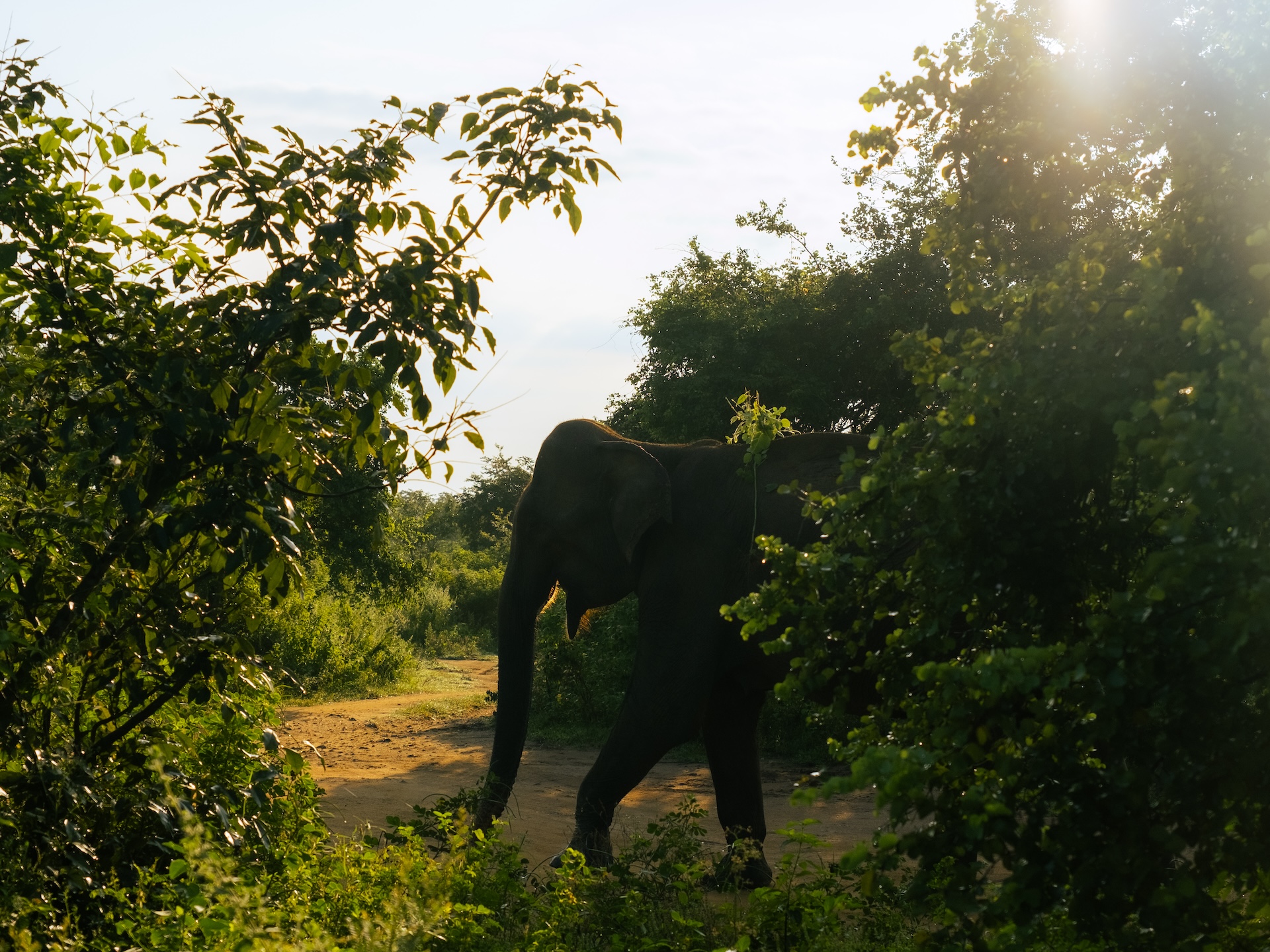 Travel – Sri Lanka