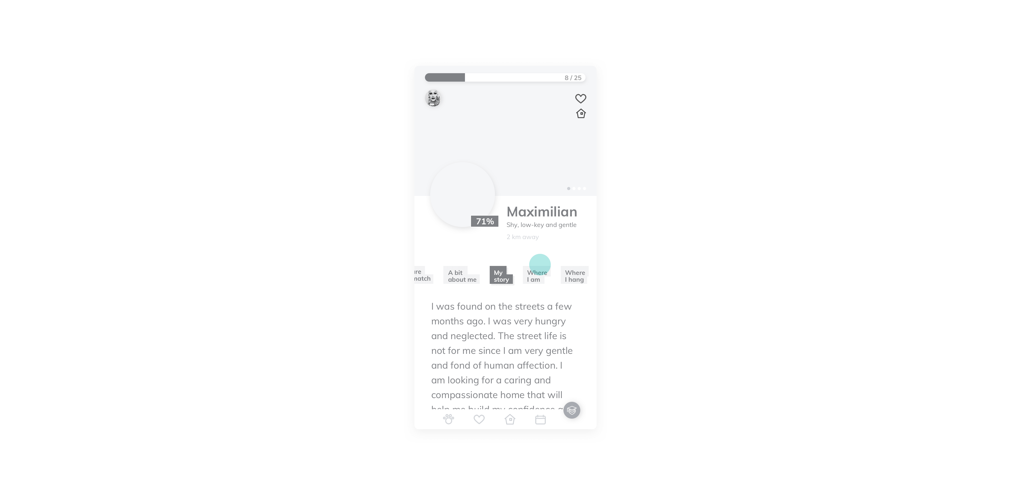 Pet profile page, 03.