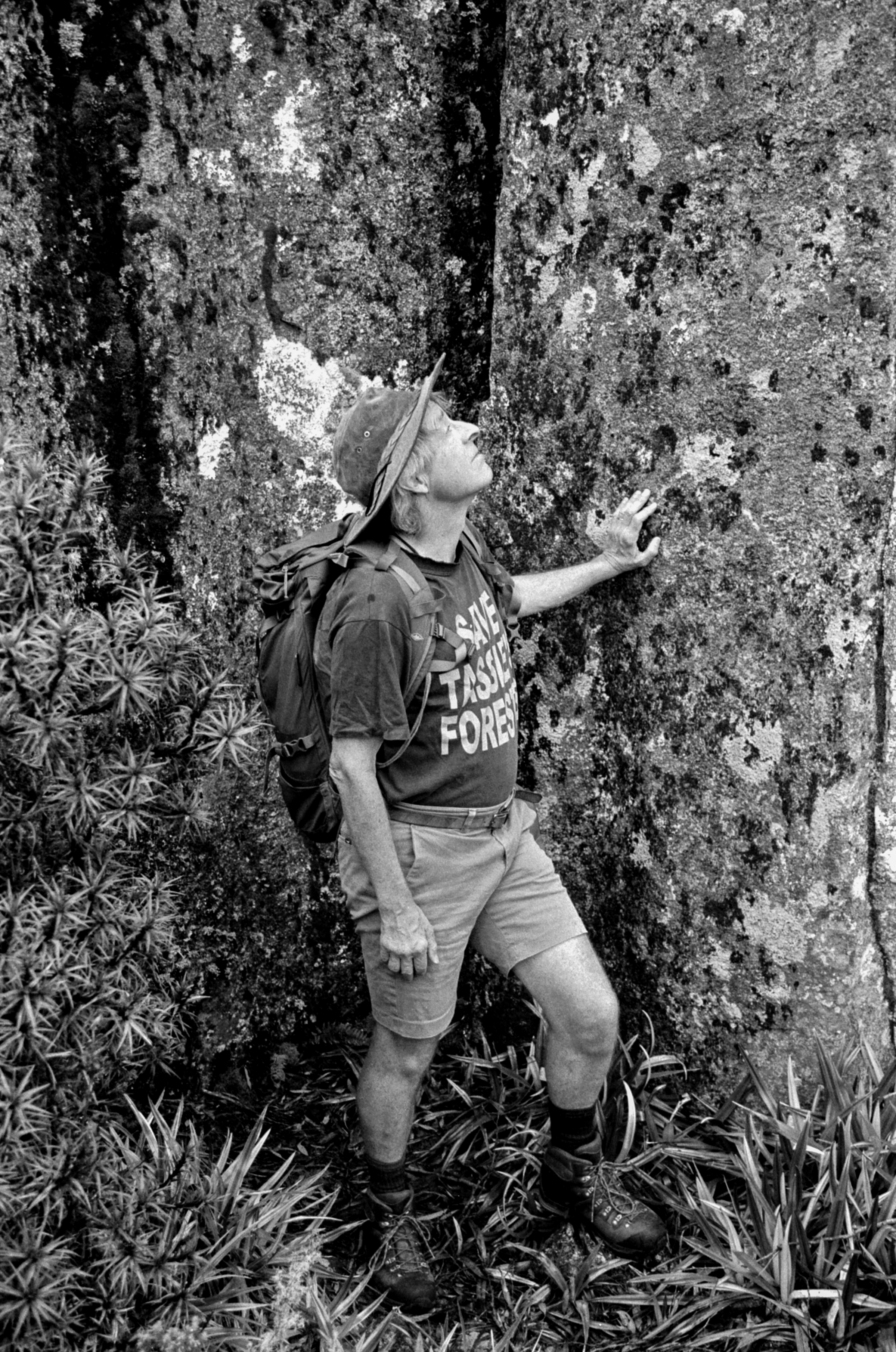 THE WILDERNESS SOCIETY