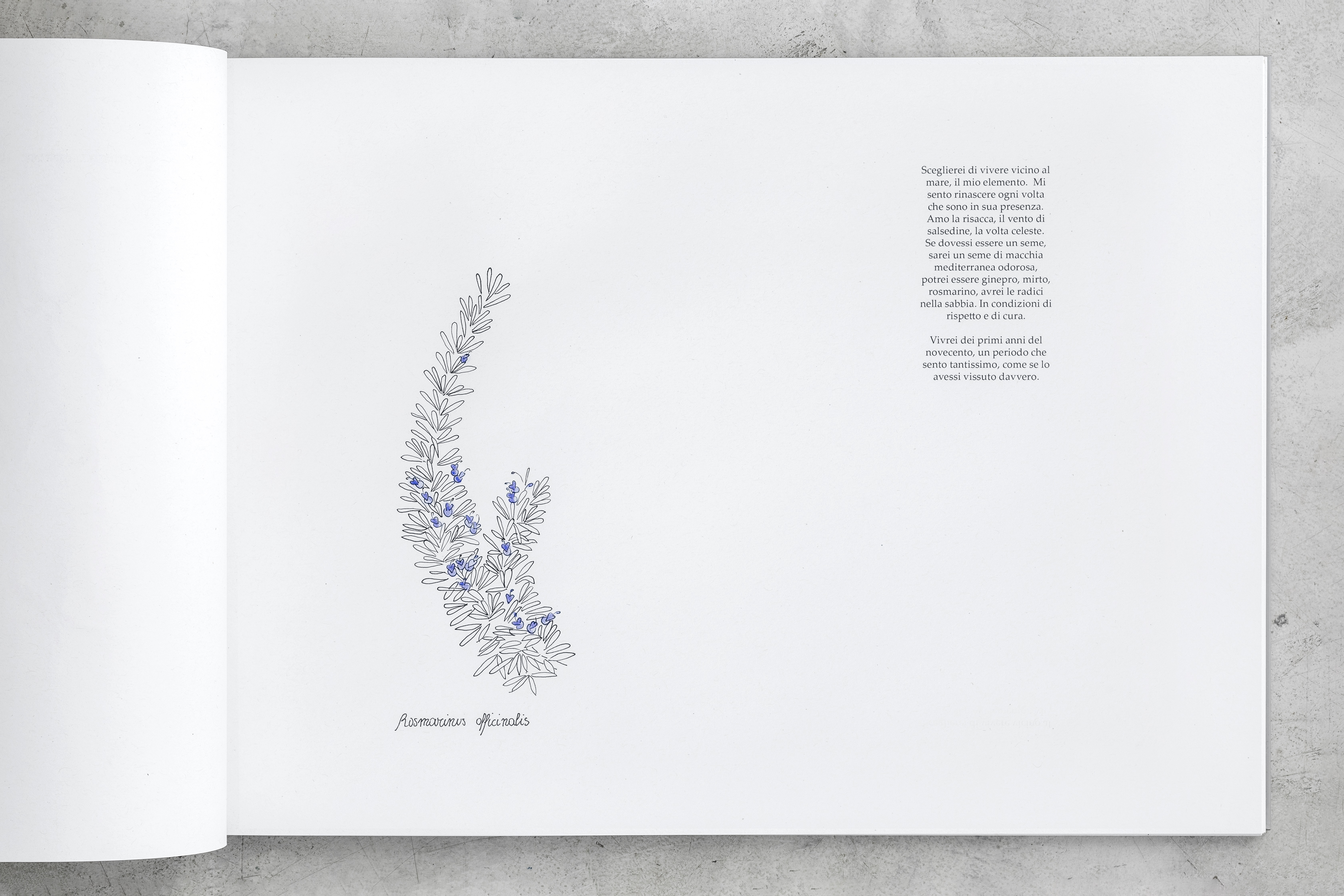 Ritratti entro uno specchio convesso Group Exhibition at Fondazione Adolfo Pini