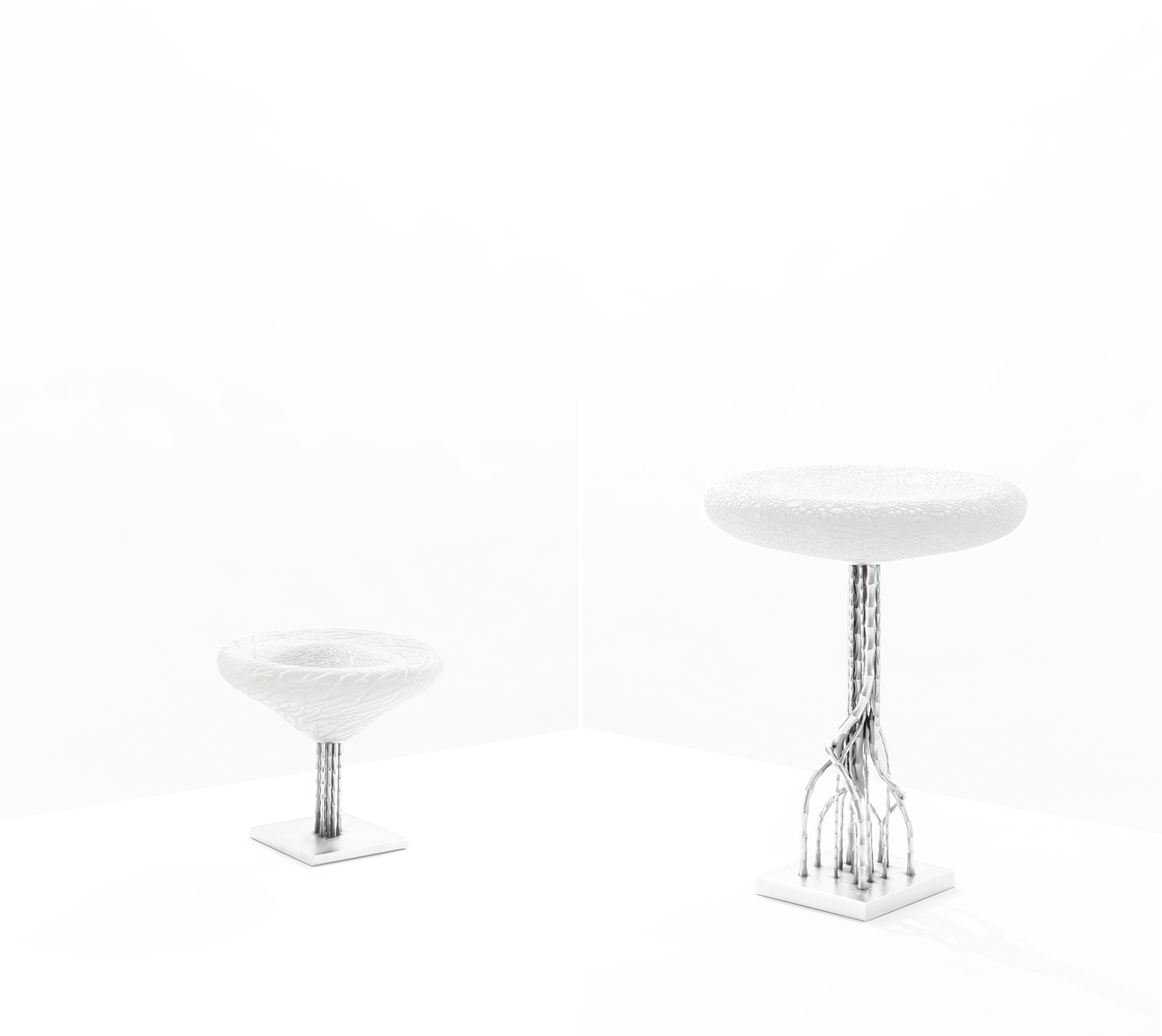 PHOTOGRAPHY RAF STUDIO OF MUTATIONS EXHIBITION AT MAD PARIS