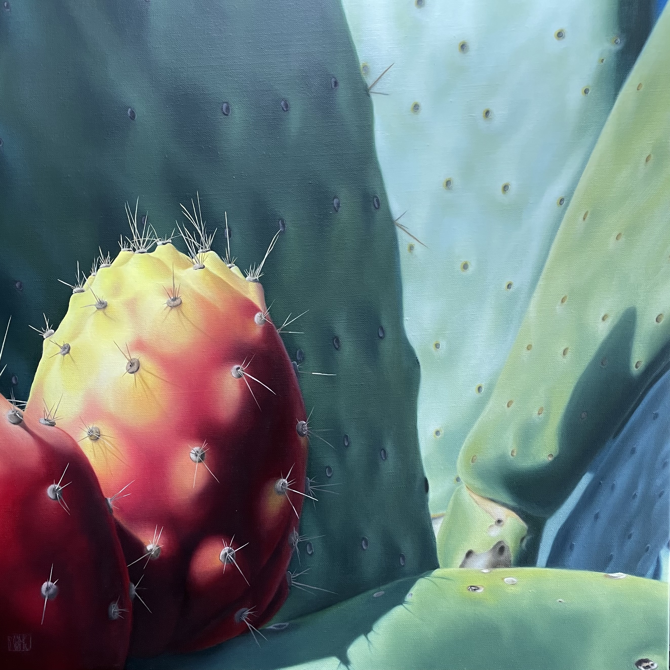 135–Feigenkaktus Nr.870×70 cmAcryl/Öl auf Leinwand2021︎ Bild kaufen