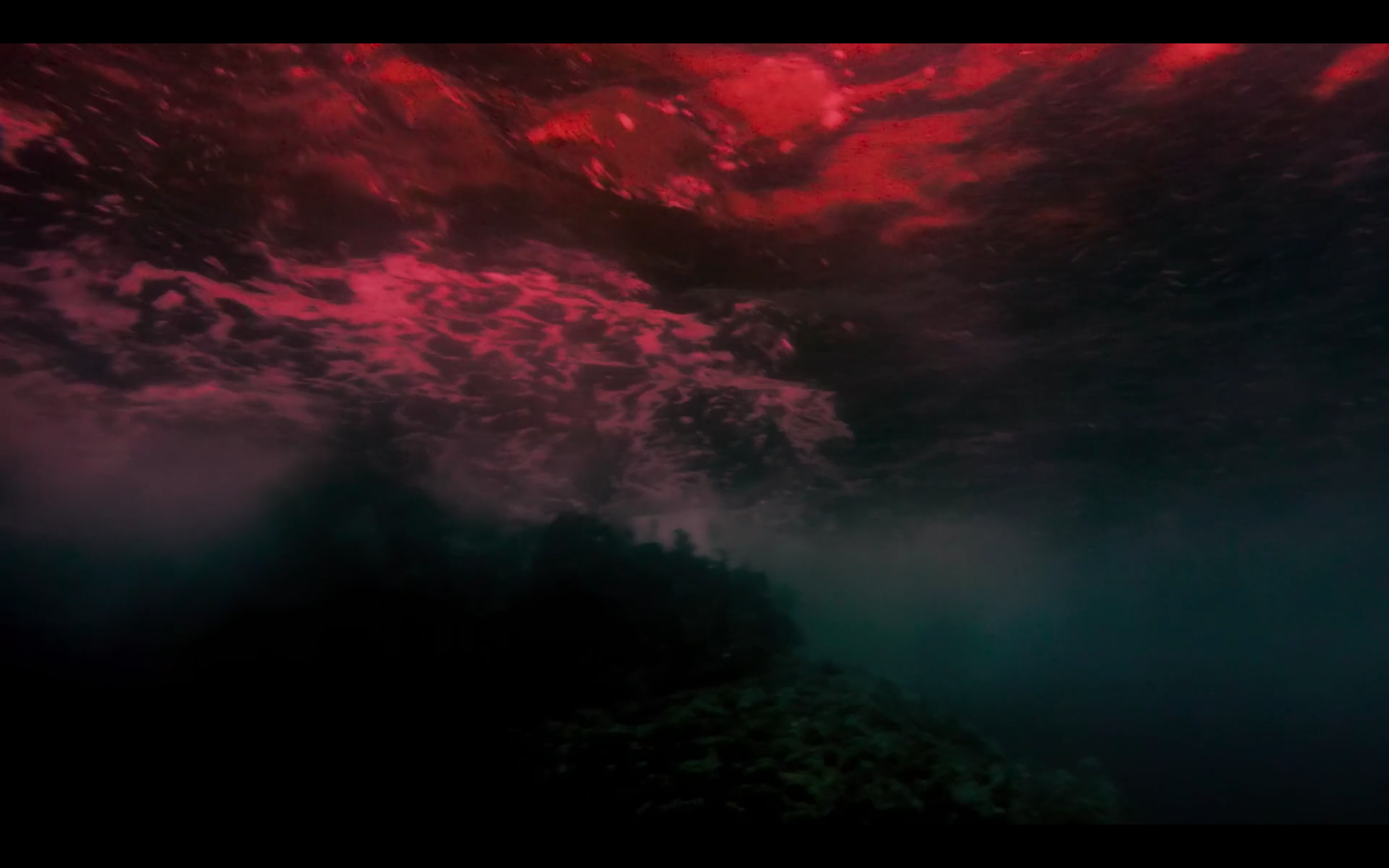 Red Moon Tide (2020) Dir. Lois Patiño, Designer - Jaione Camborda 