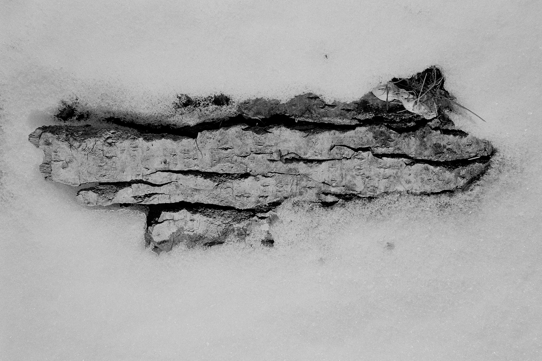 °01, 2017 : impression sur aluminium / aluminium print form scanned 35mm negative, 8 x 12''