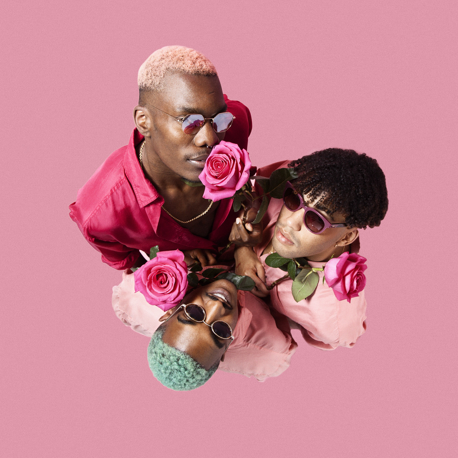 The Flower Boys / Pinkadelic