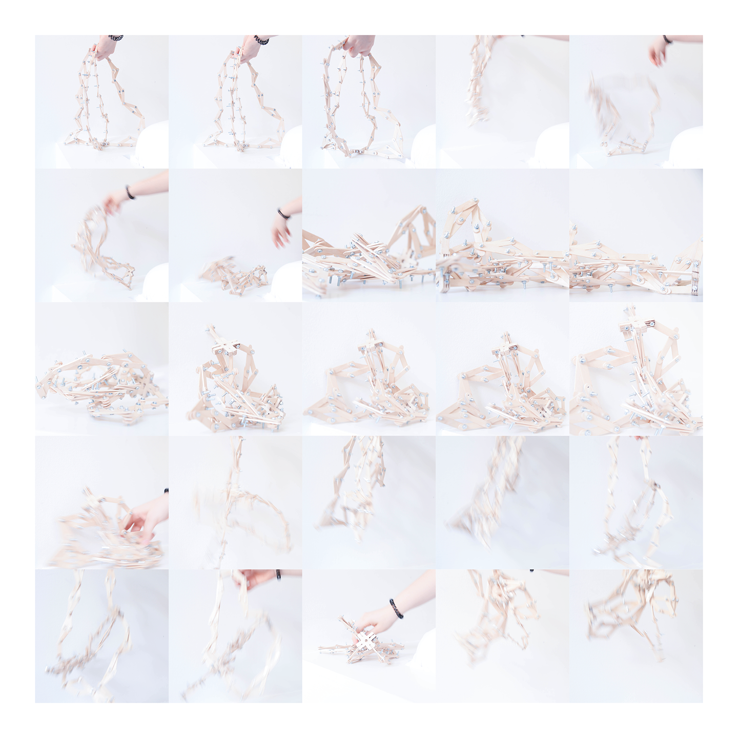 Motion Studies II