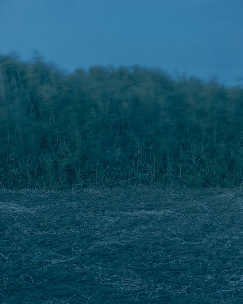 View Point Blue #Mudeungyiwat, 137x109cm, Pigment Print, 2019