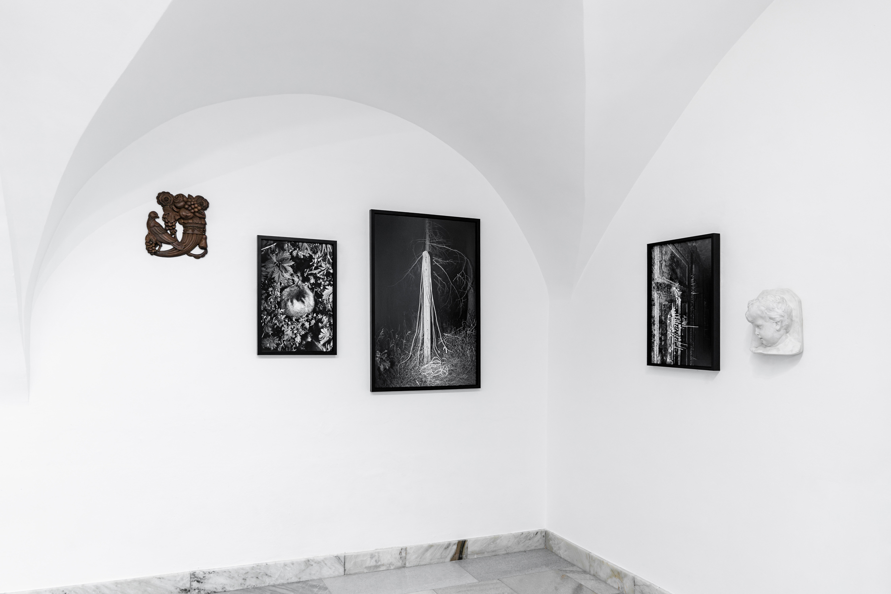 Plexus. Galerie Jiřího Jílka, Šumperk, 2025. With Eugen Ruppert, curated by Pavlína Vogelová.