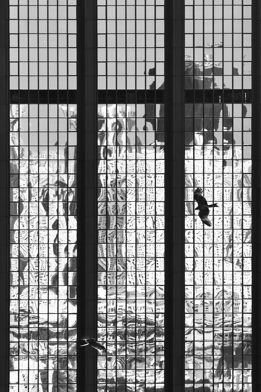 Black kites (like eagles) flying in front of high rise building glass facade, reflection of city in background