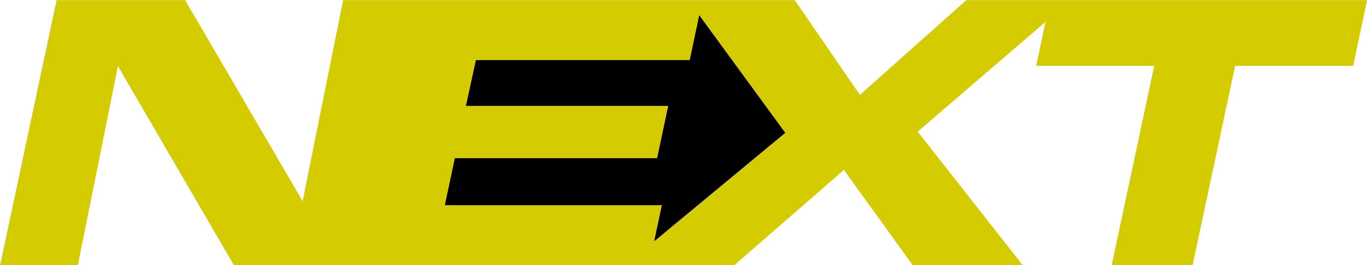 Logo for 'NEXT'; an exhibition by Matthew Richardson and Louis Backhouse at SELECT, Berlin