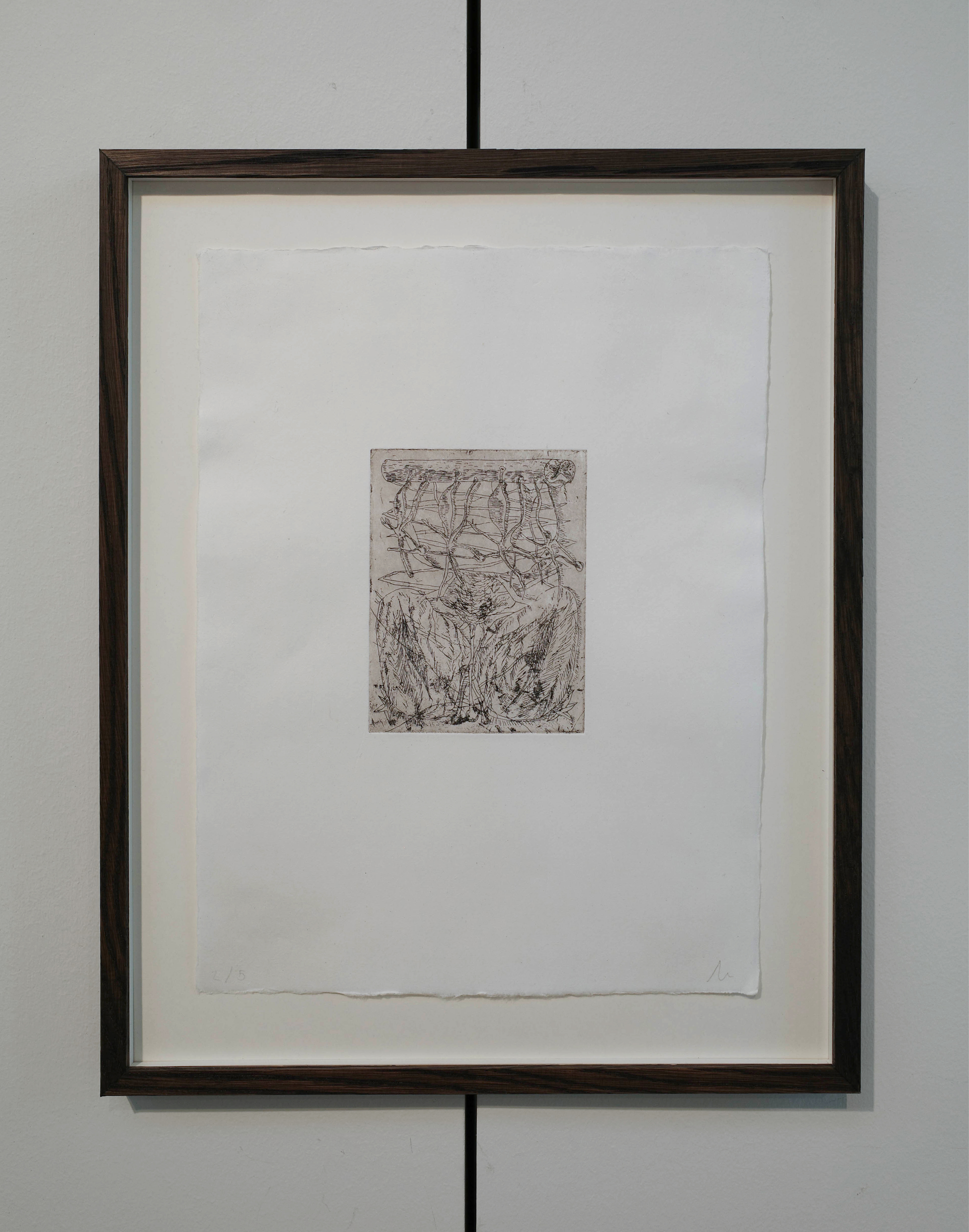 Detail of 'mennesket, amfibiet', etching on kozo paper — 26x34.2cm, framed in darkened oak.
