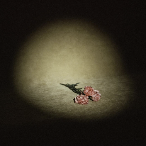 Should Be / Peter Groppe