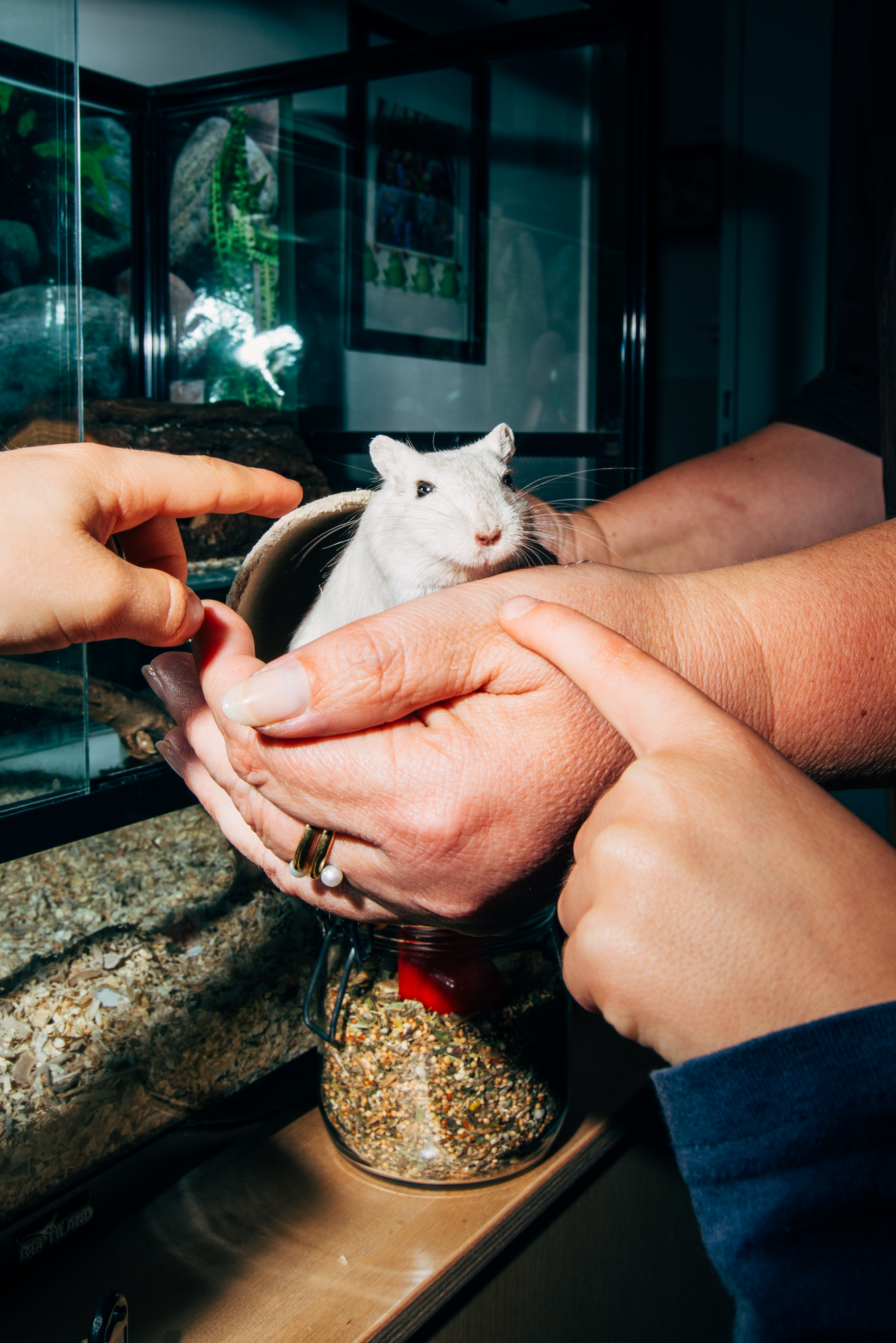 Die Erzieherin Silke Hadler aus Bremen und ihre W&uuml;stenrennmaus