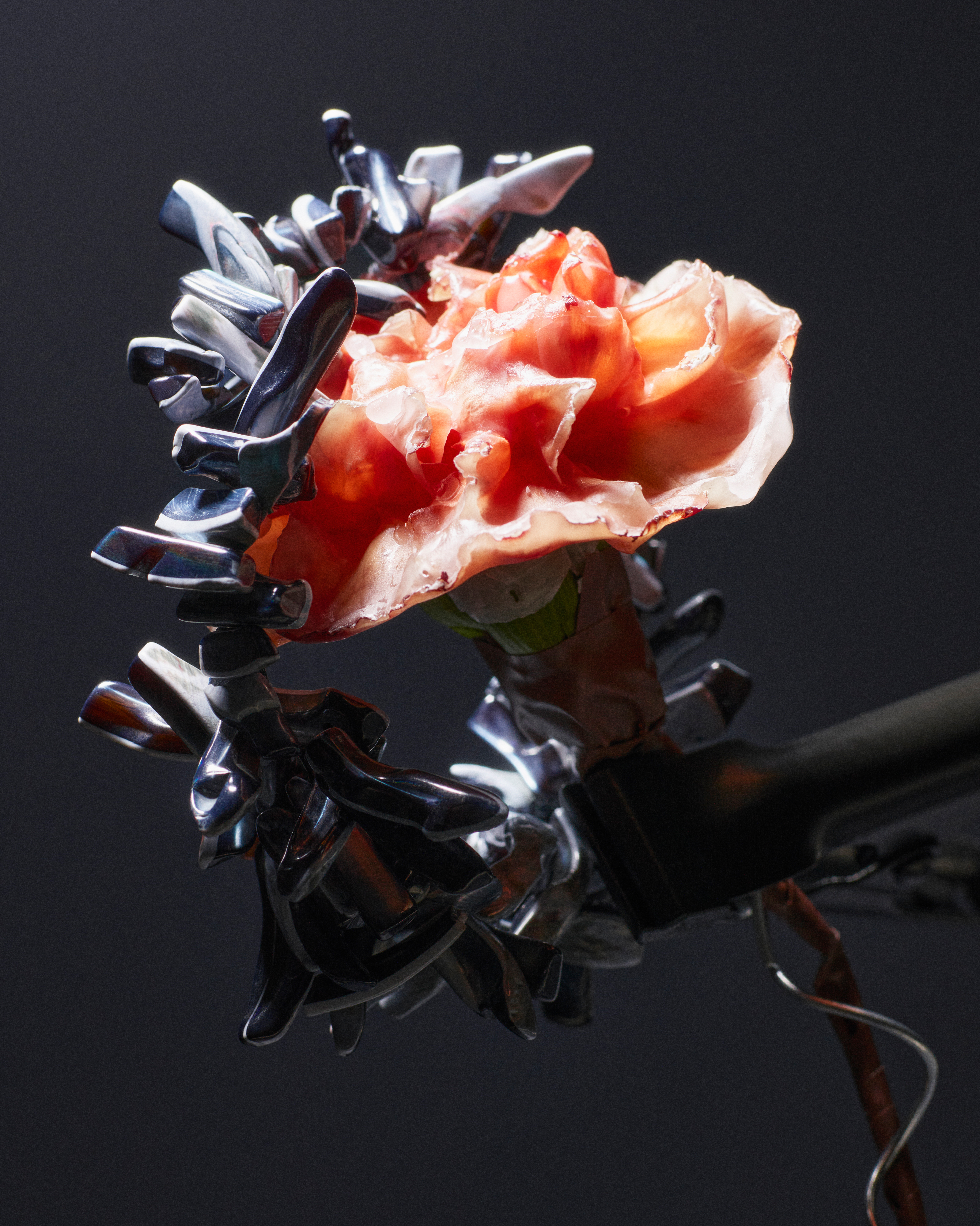 FLOWERXPLORATION WITH SUNDĒ FLEURS