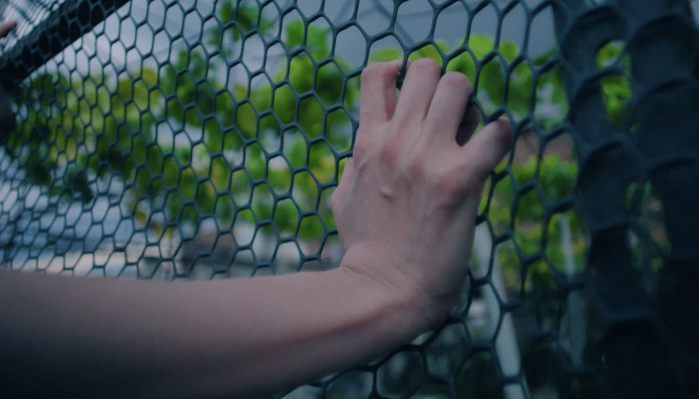 Strike, Pt. II - 程思浩