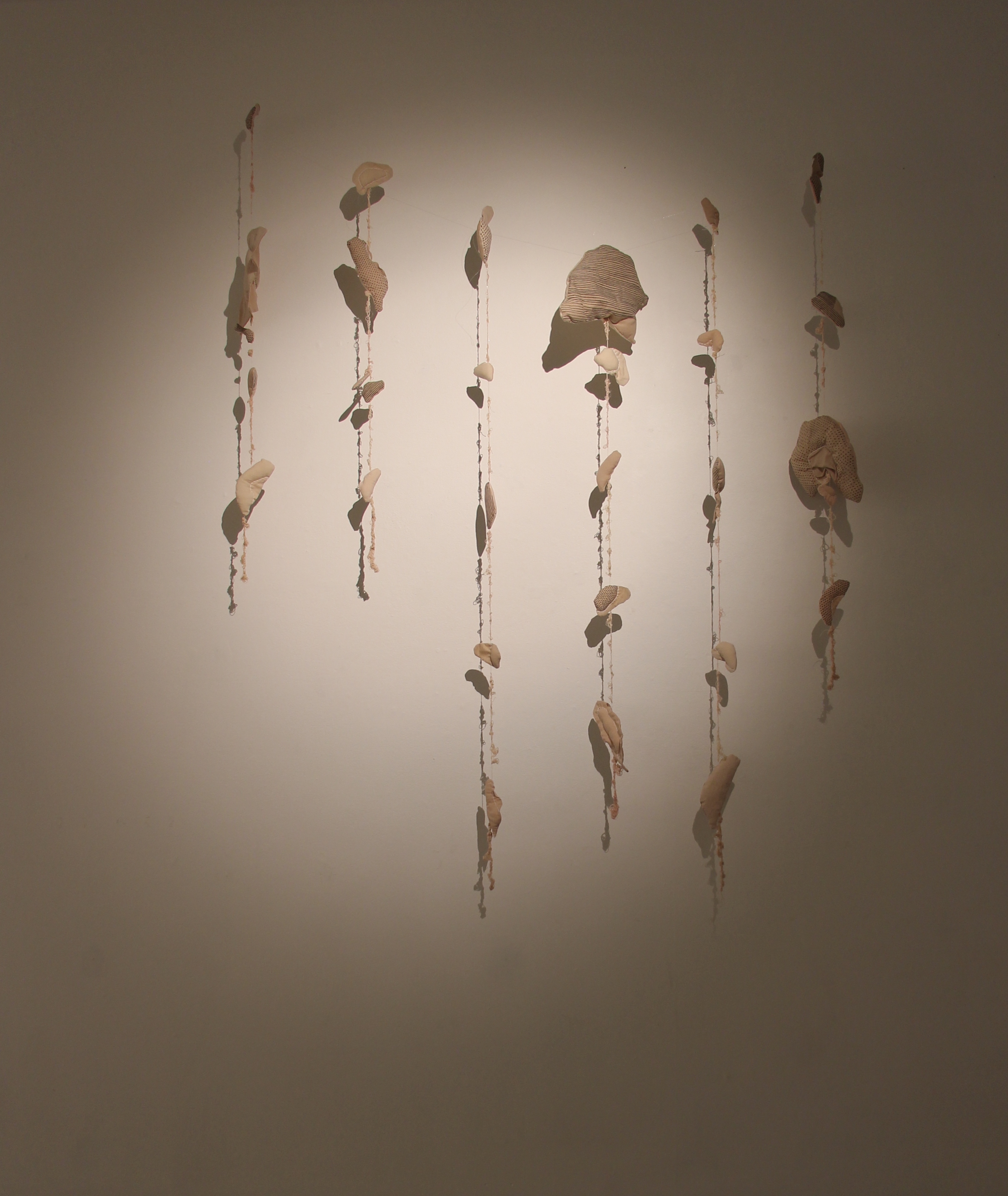 Untitled 1 ° 2021 - ongoing