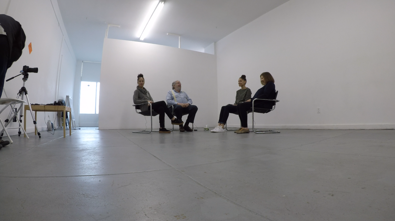 TWO FOUR SIX * research project with aleesa cohene