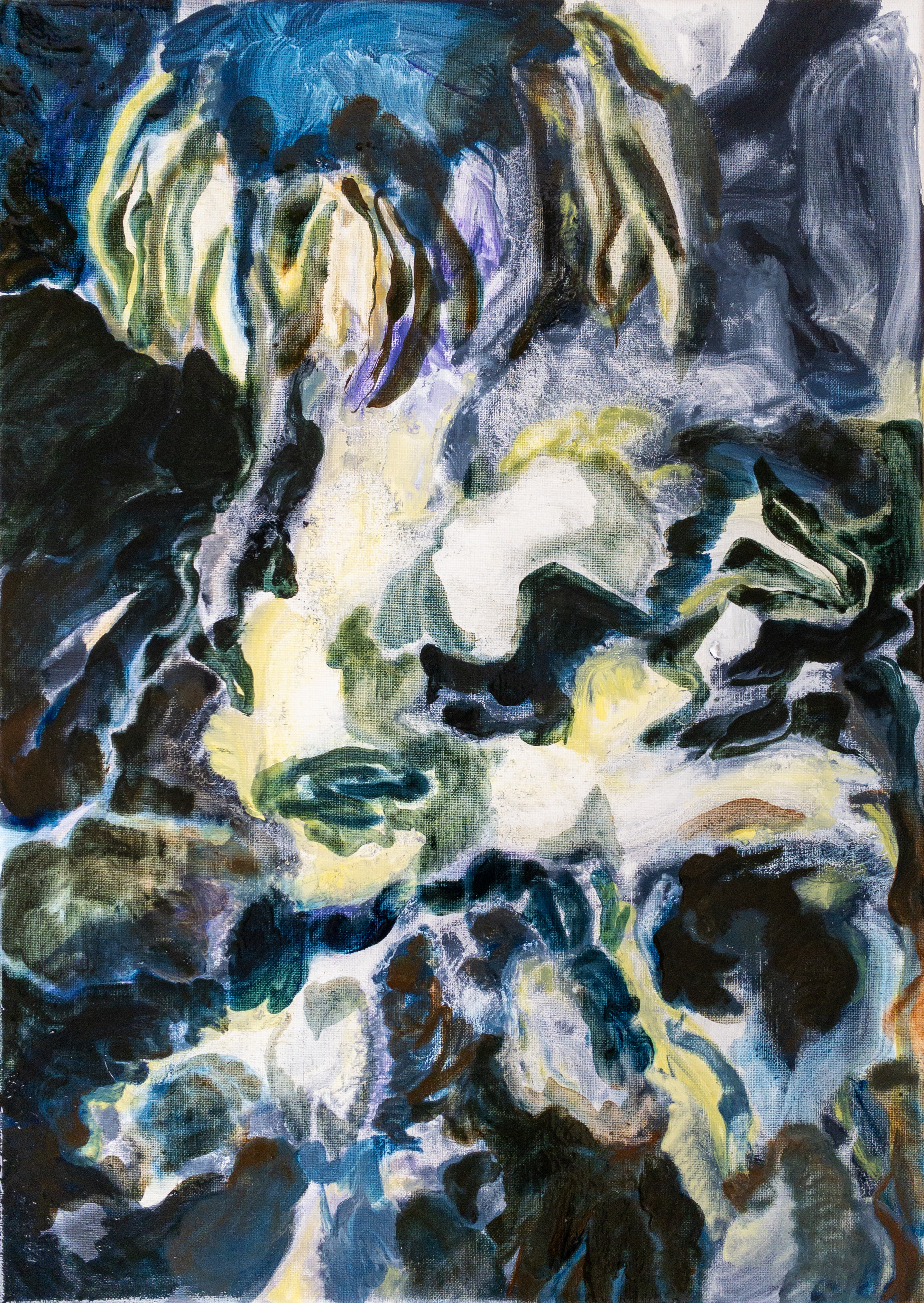 The Midnight Garden, oil on linen, 70 x 50 cm