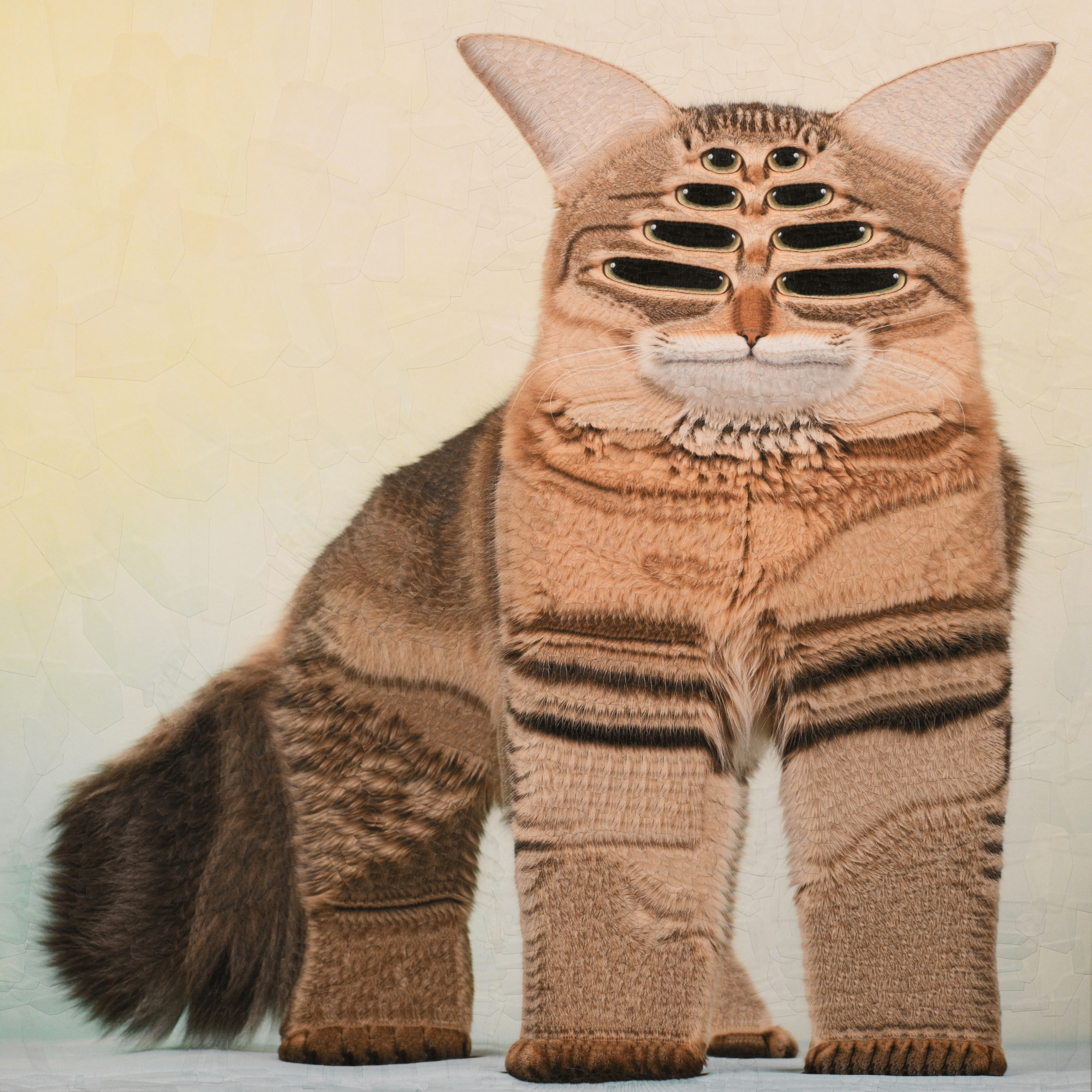 Mars, 2024, 19.5 x 19.5 inches