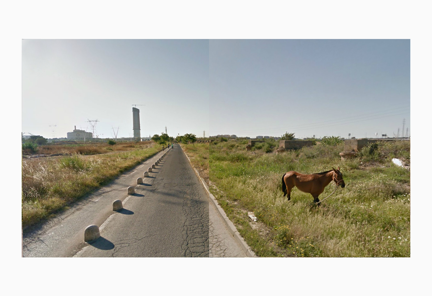 Foto territorio caballo campo camino y tiempo
