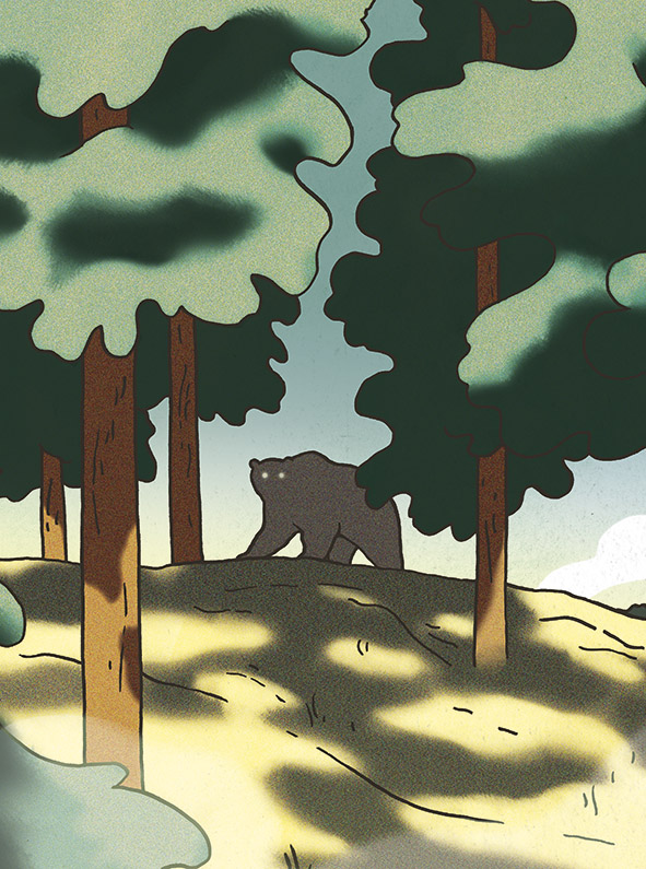 Vivre en pays grizzly