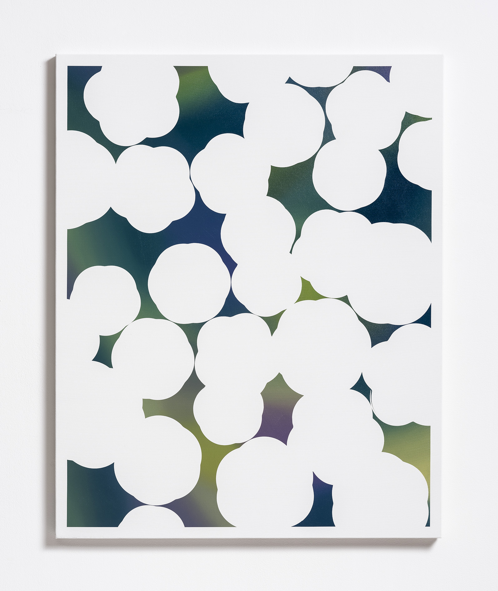 FP29 [Flowers Paintings series], 2024 ; oil on polyester canvas, H : 81 x W : 65 cm. 
