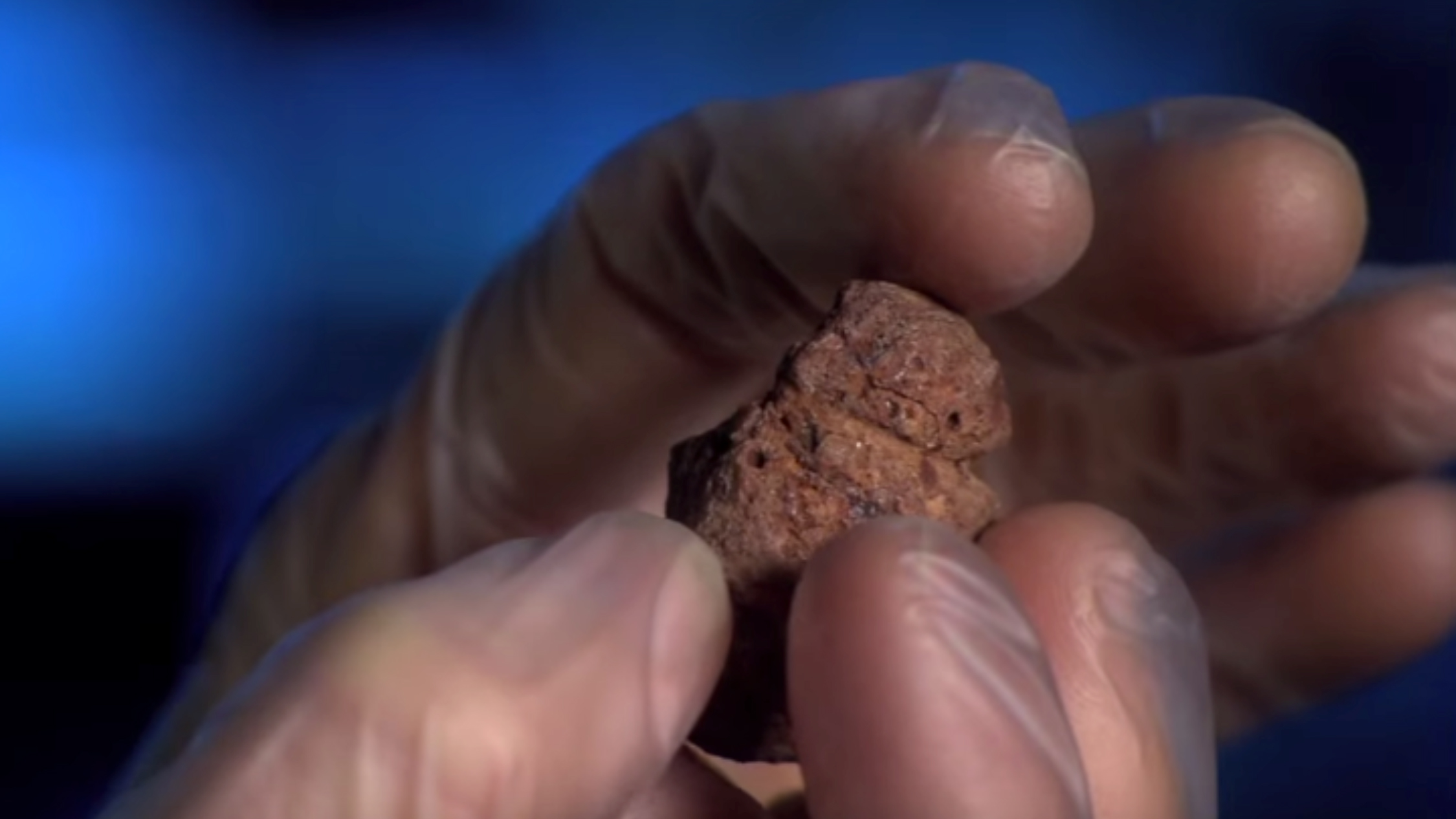 Venus of Berekhat Ram