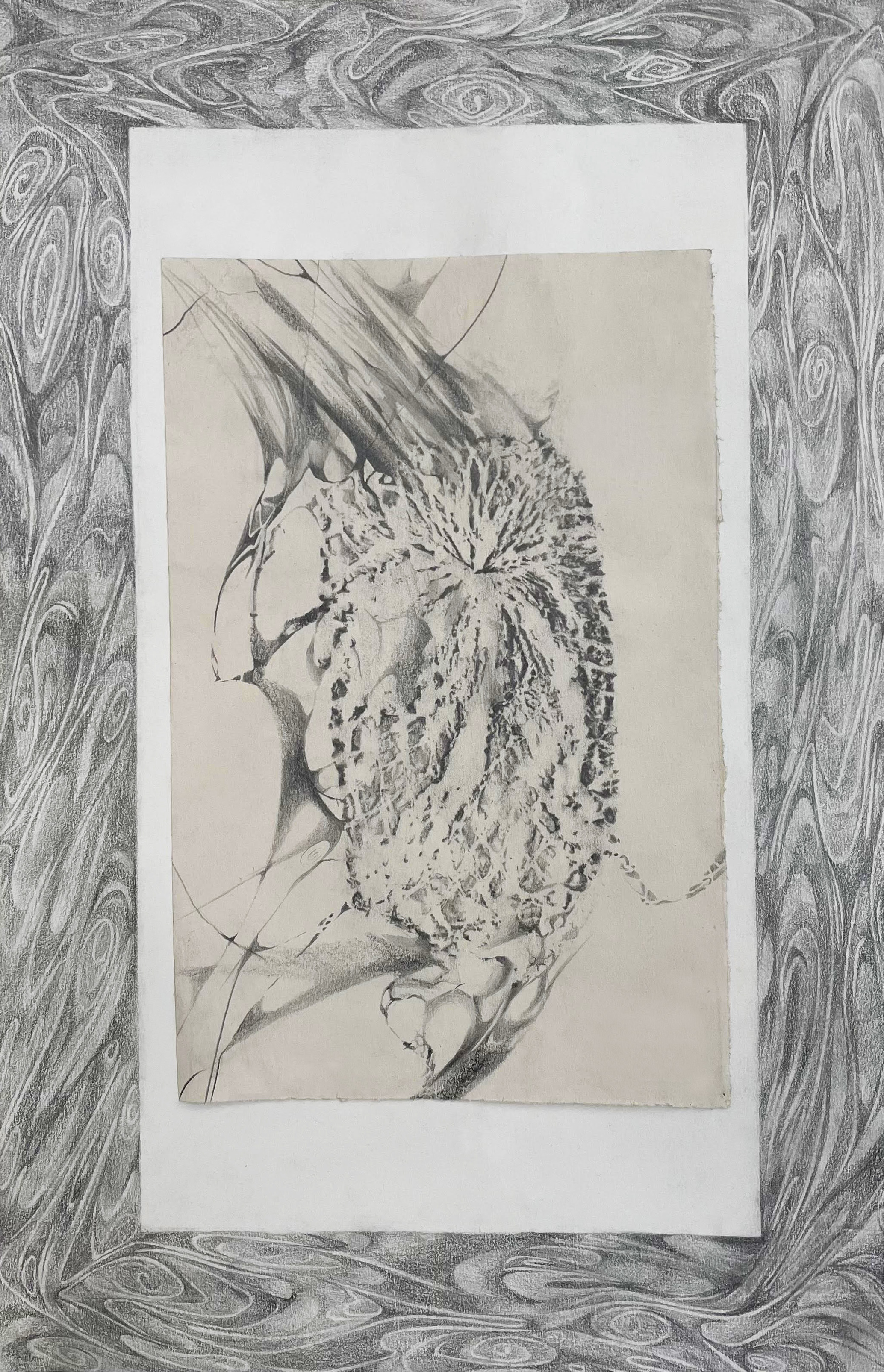 Net Extension, Graphite & Charcoal, 2025