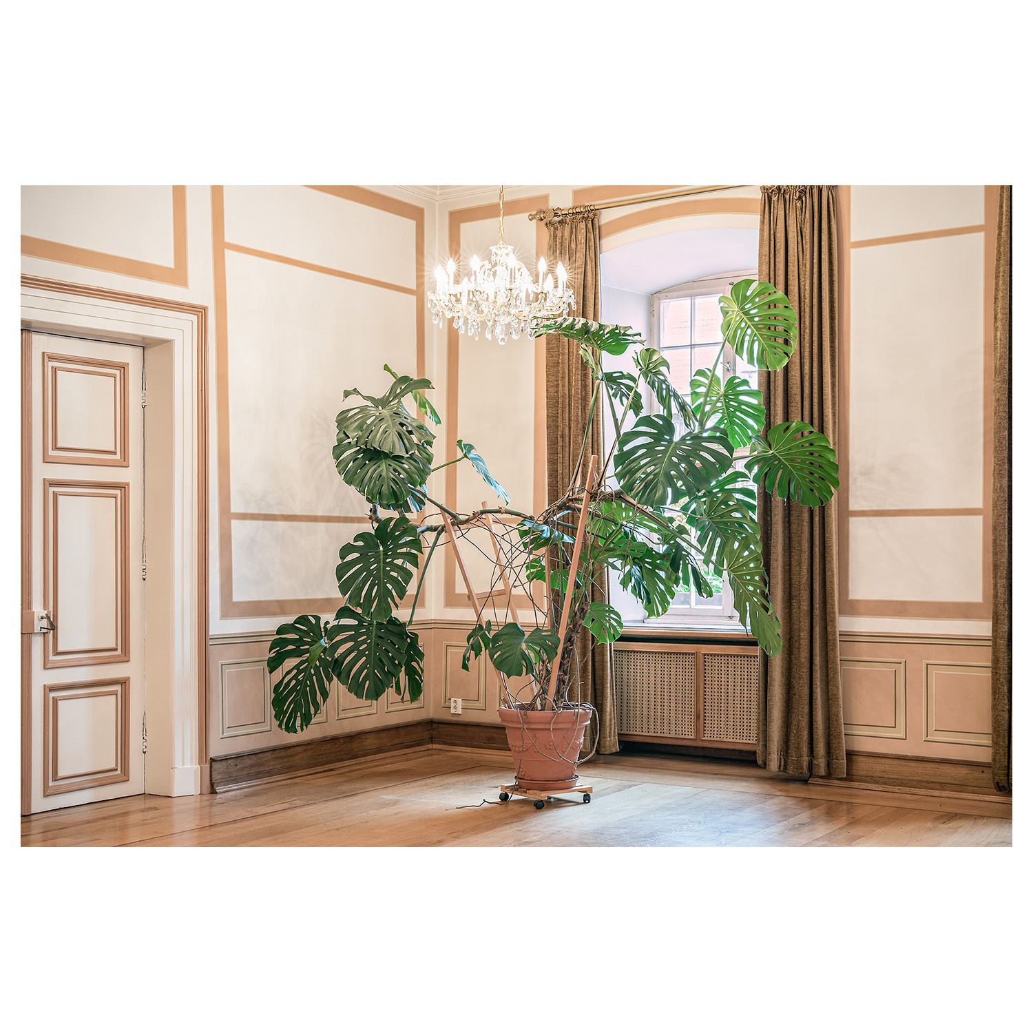 Glaube, Sitte, Heimat