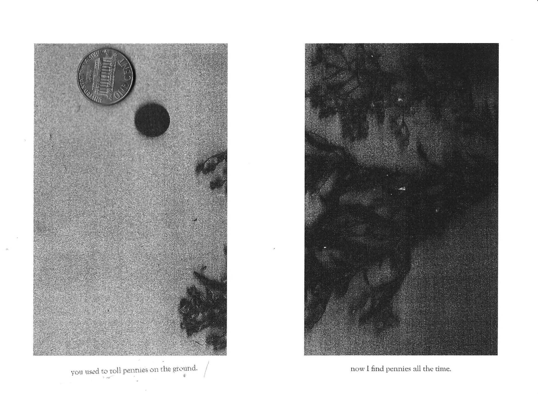 RUDERAL SPECIES — Makena Janssen