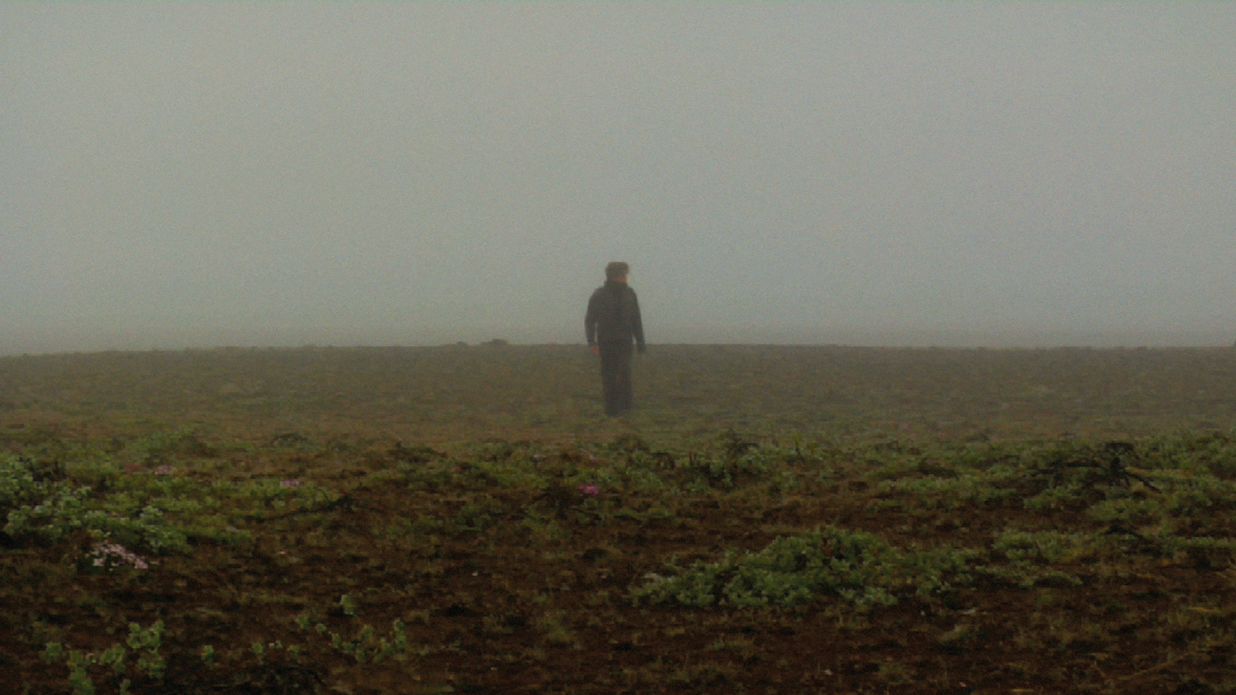 Recurrence Relation 1, 2008. Duration: 5:06 minutes. (still frame)